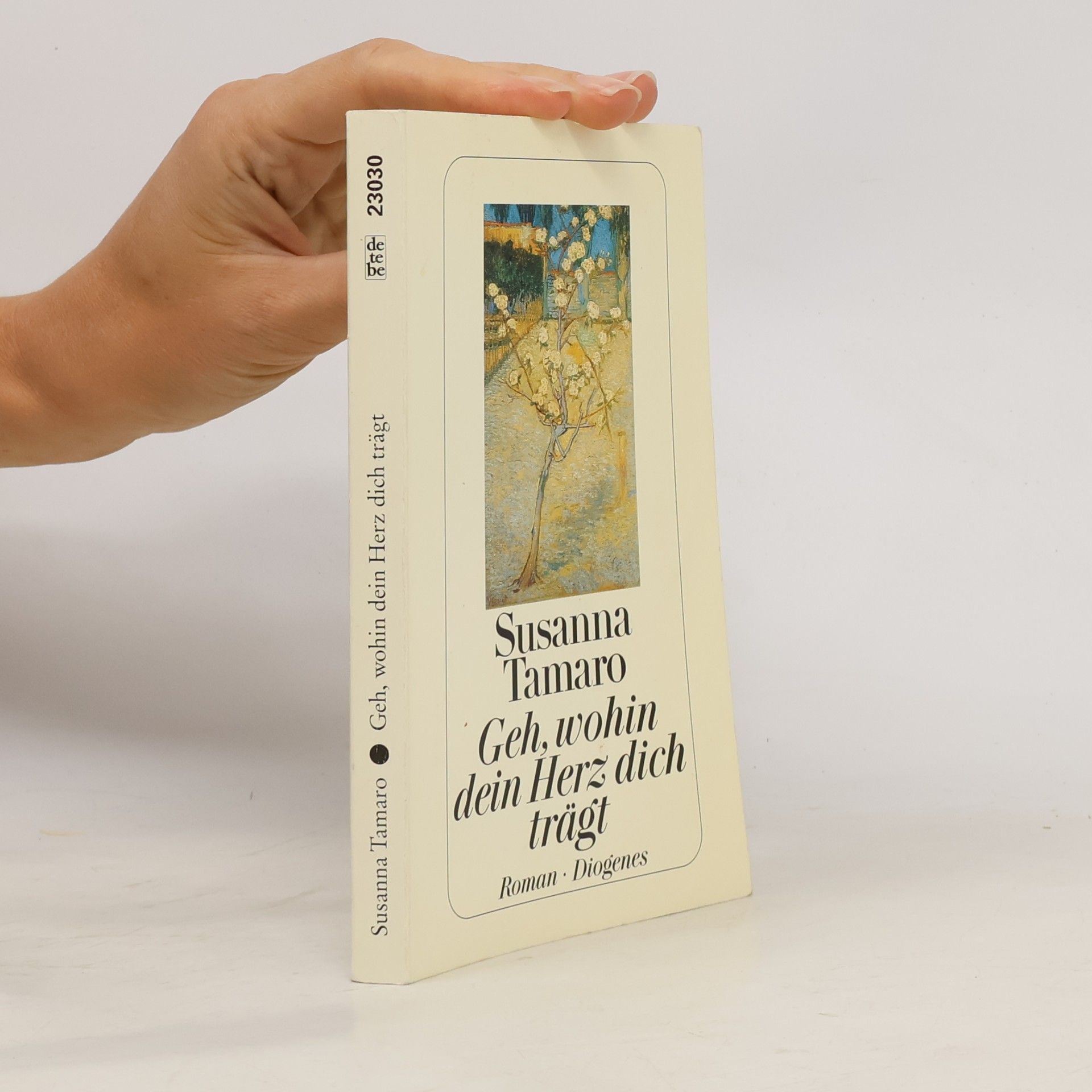 Susanna Tamaro Geh, wohin dein Herz dich trägt