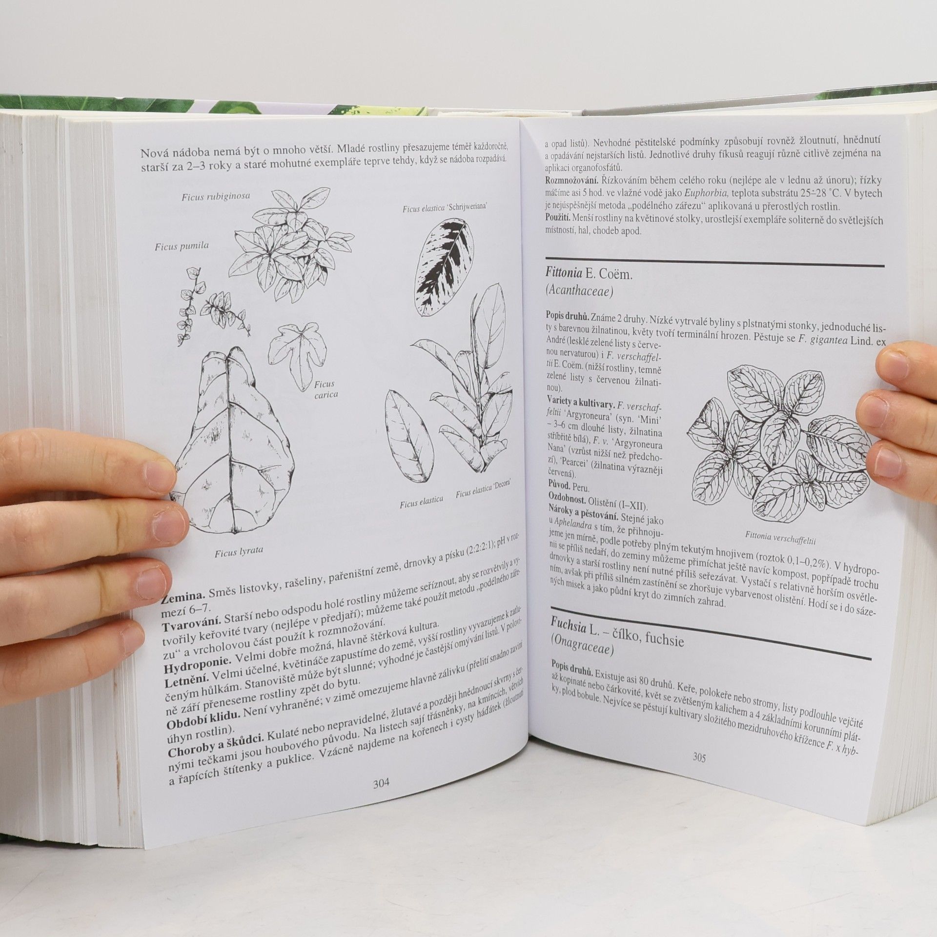 Karel Hieke Atlas pokojových rostlin