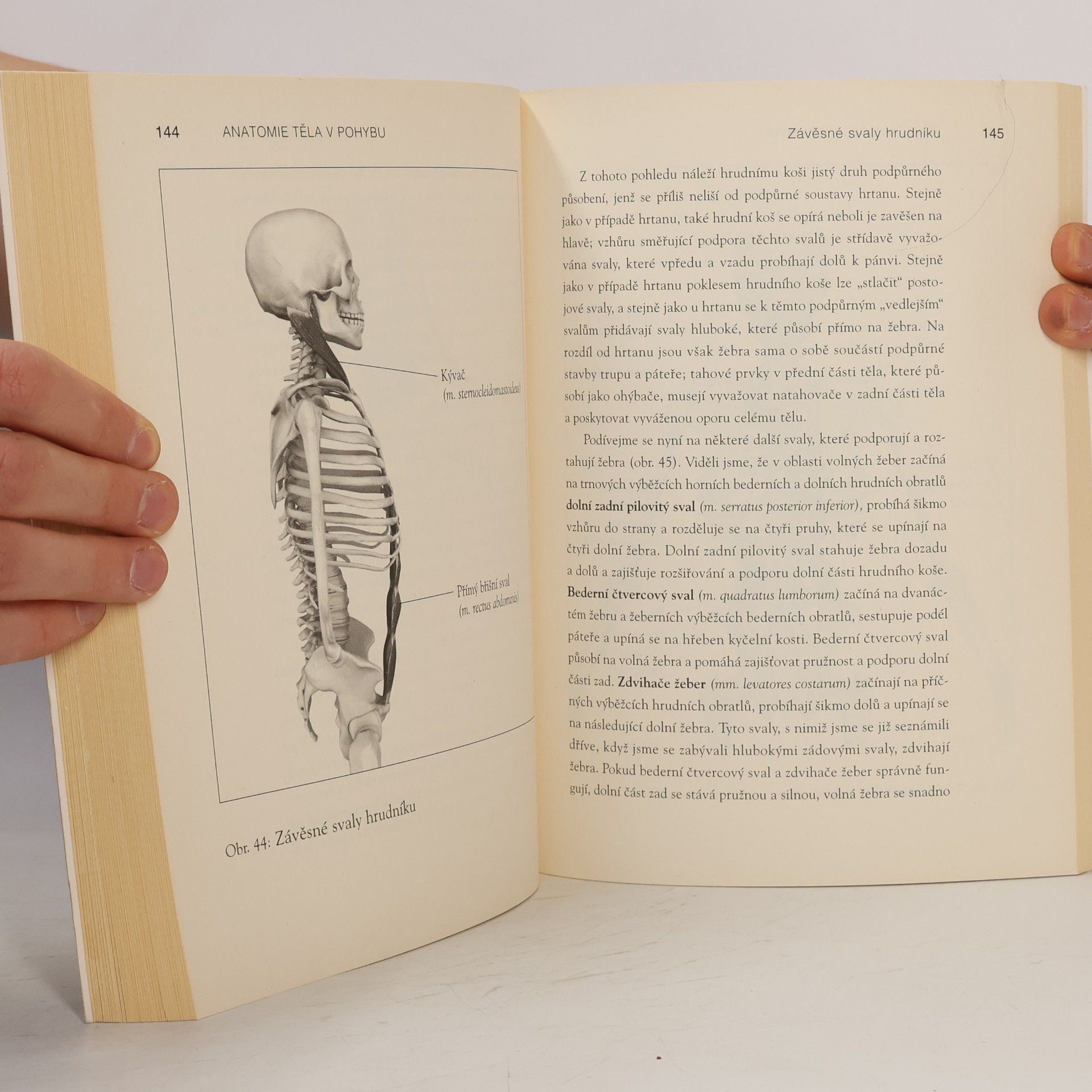 Theodore Dimon Anatomie těla v pohybu
