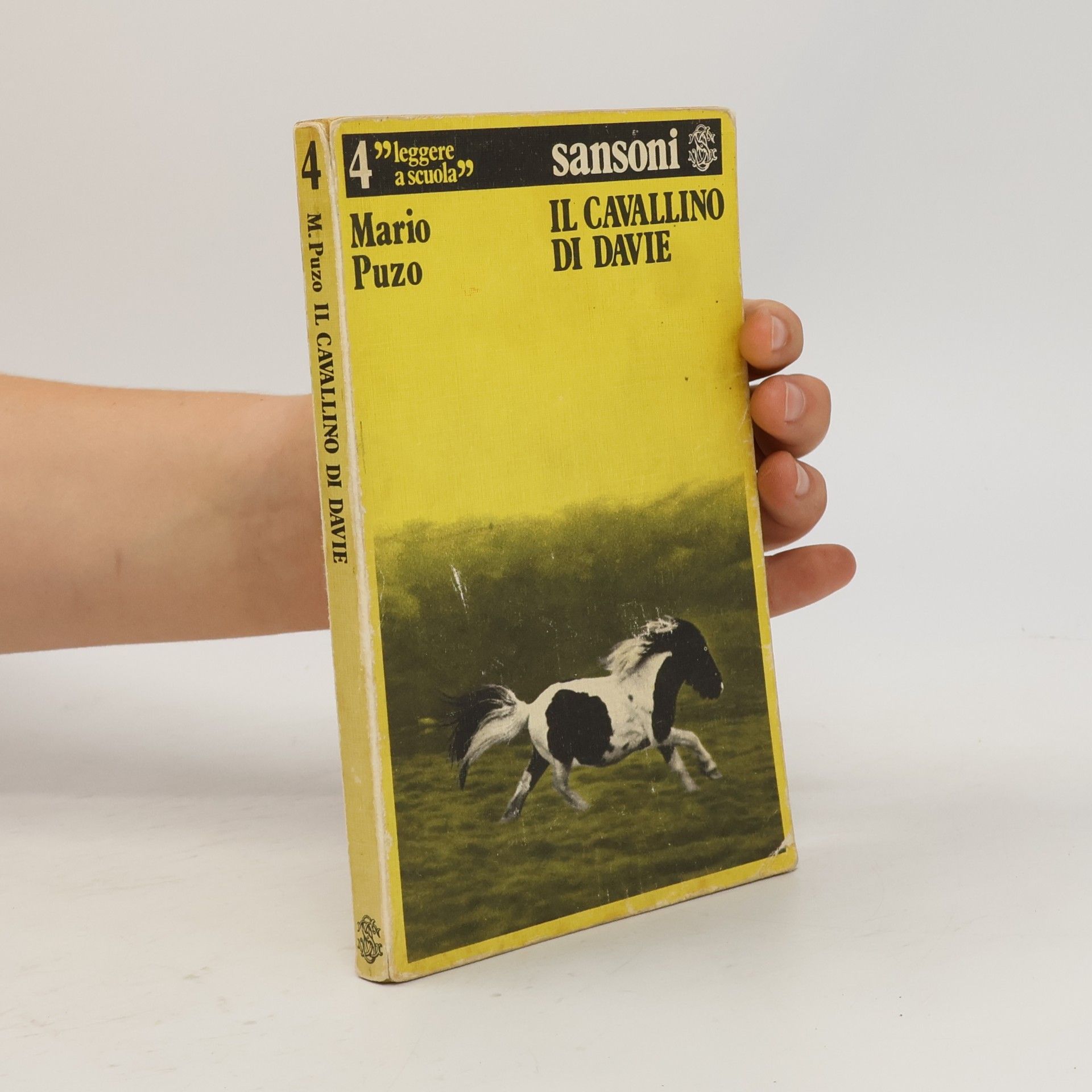 Il cavallino di davie