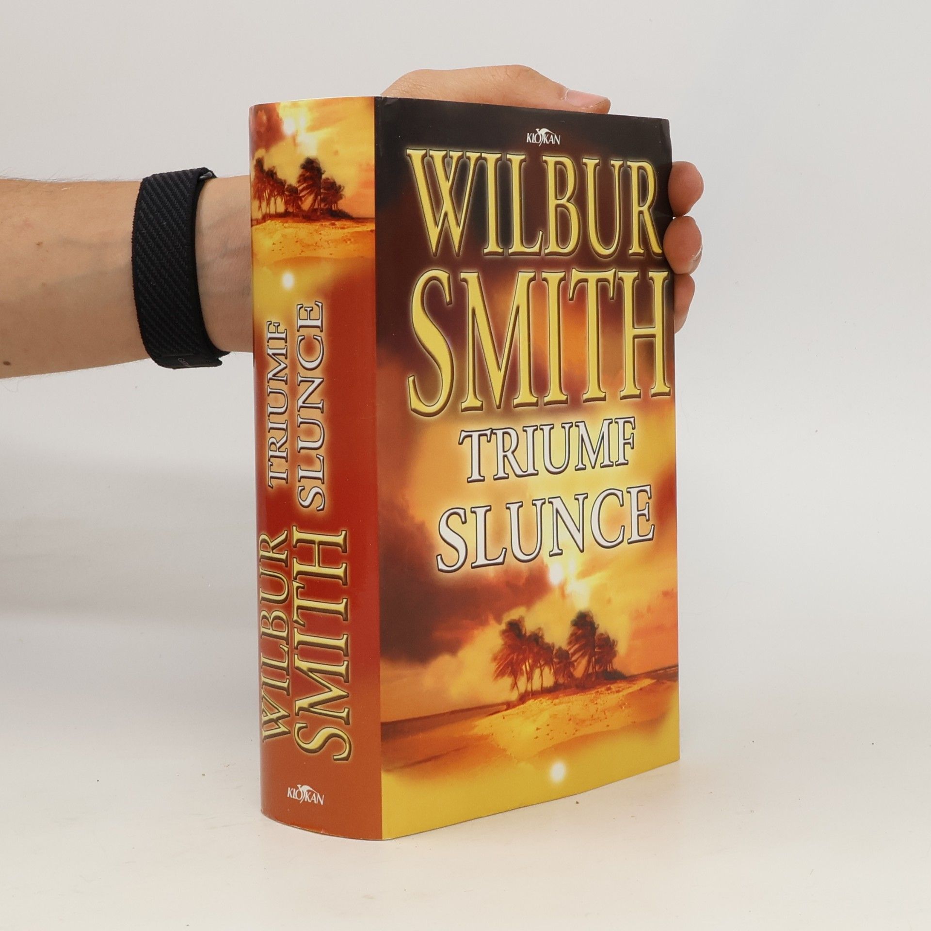 Wilbur Smith Triumf slunce