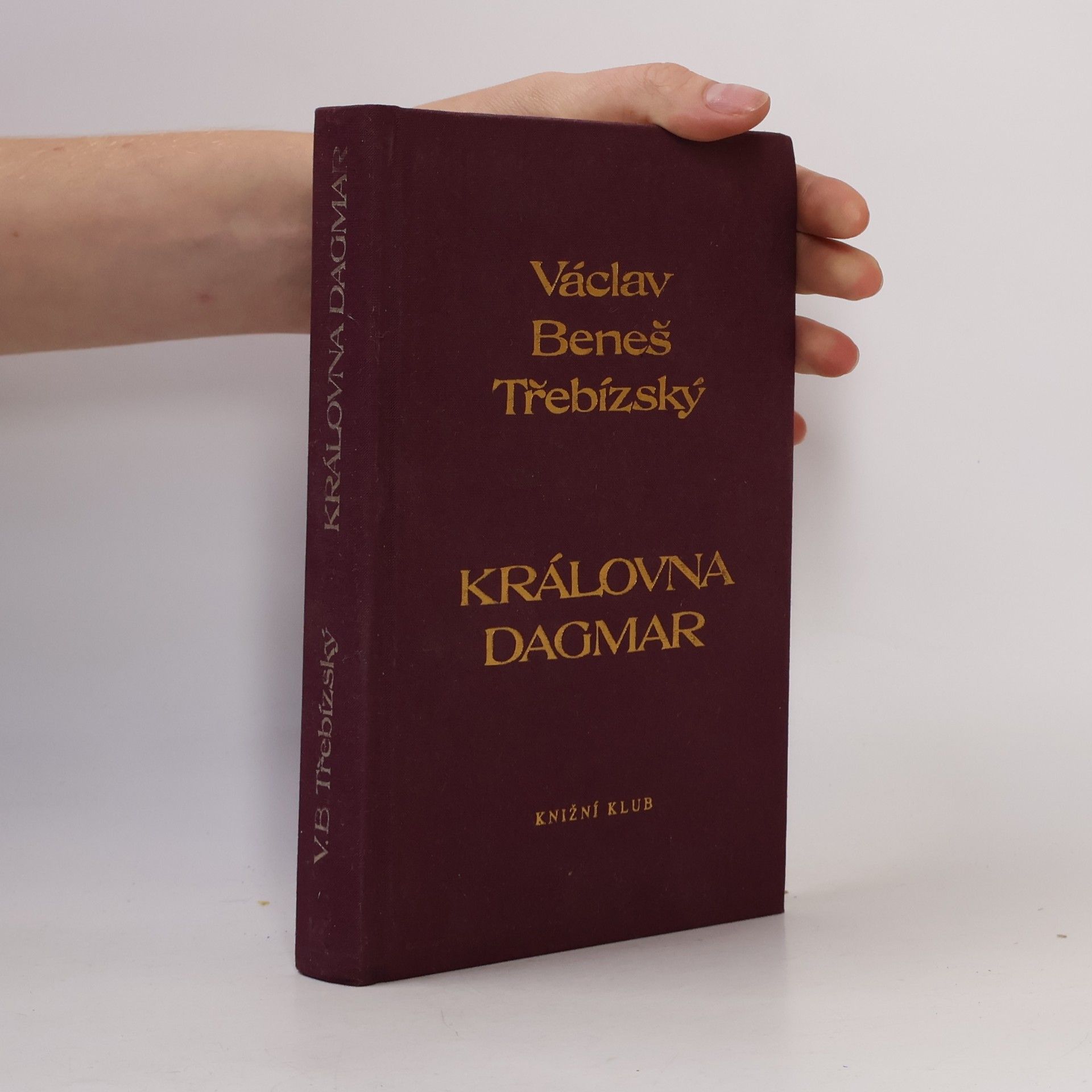 Václav Beneš Třebízský Královna Dagmar