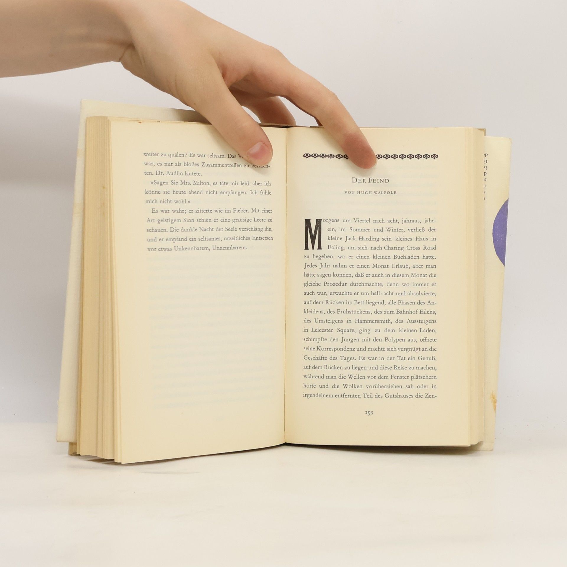 Mary Hottinger Der Connaisseur 2