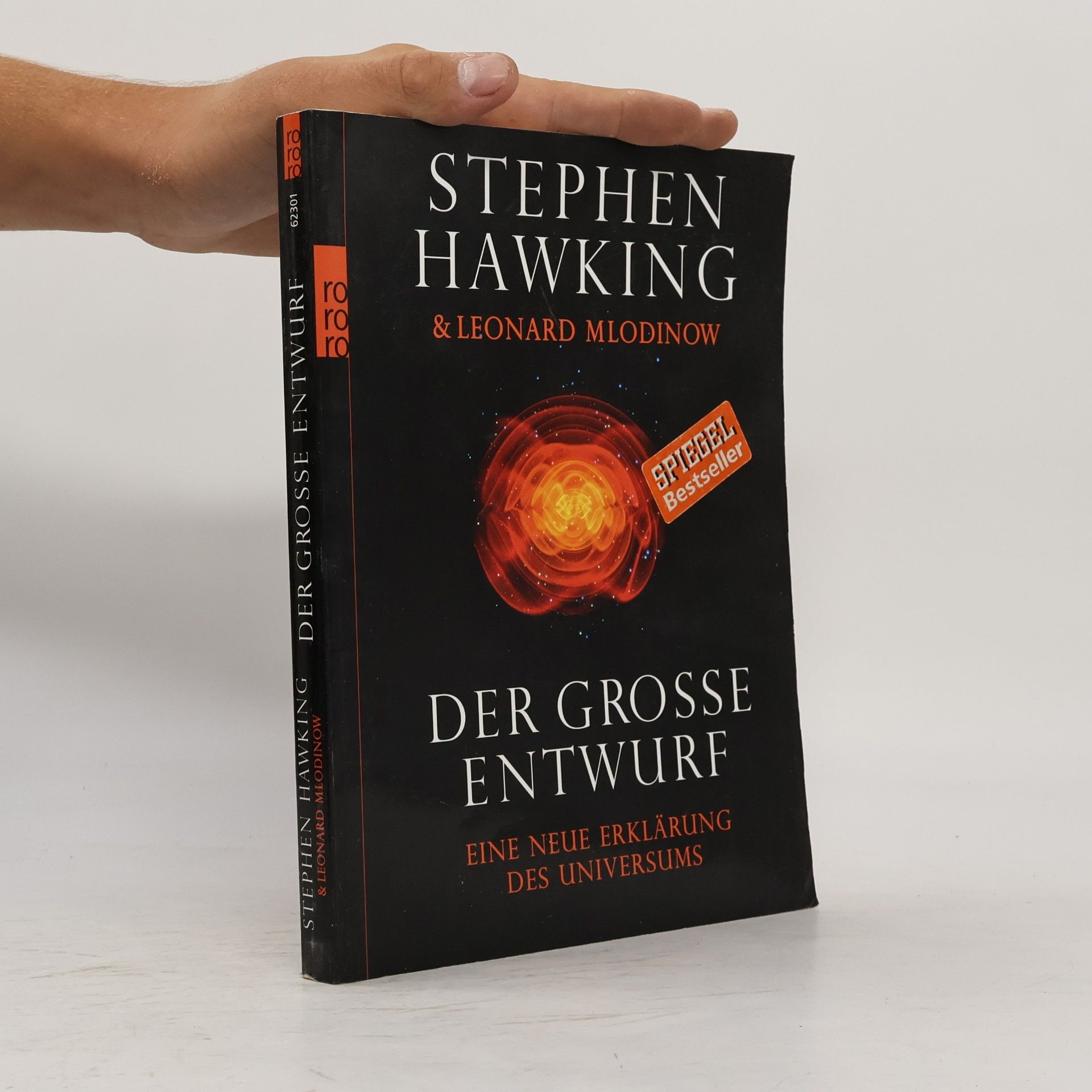 Stephen Hawking Der grosse Entwurf