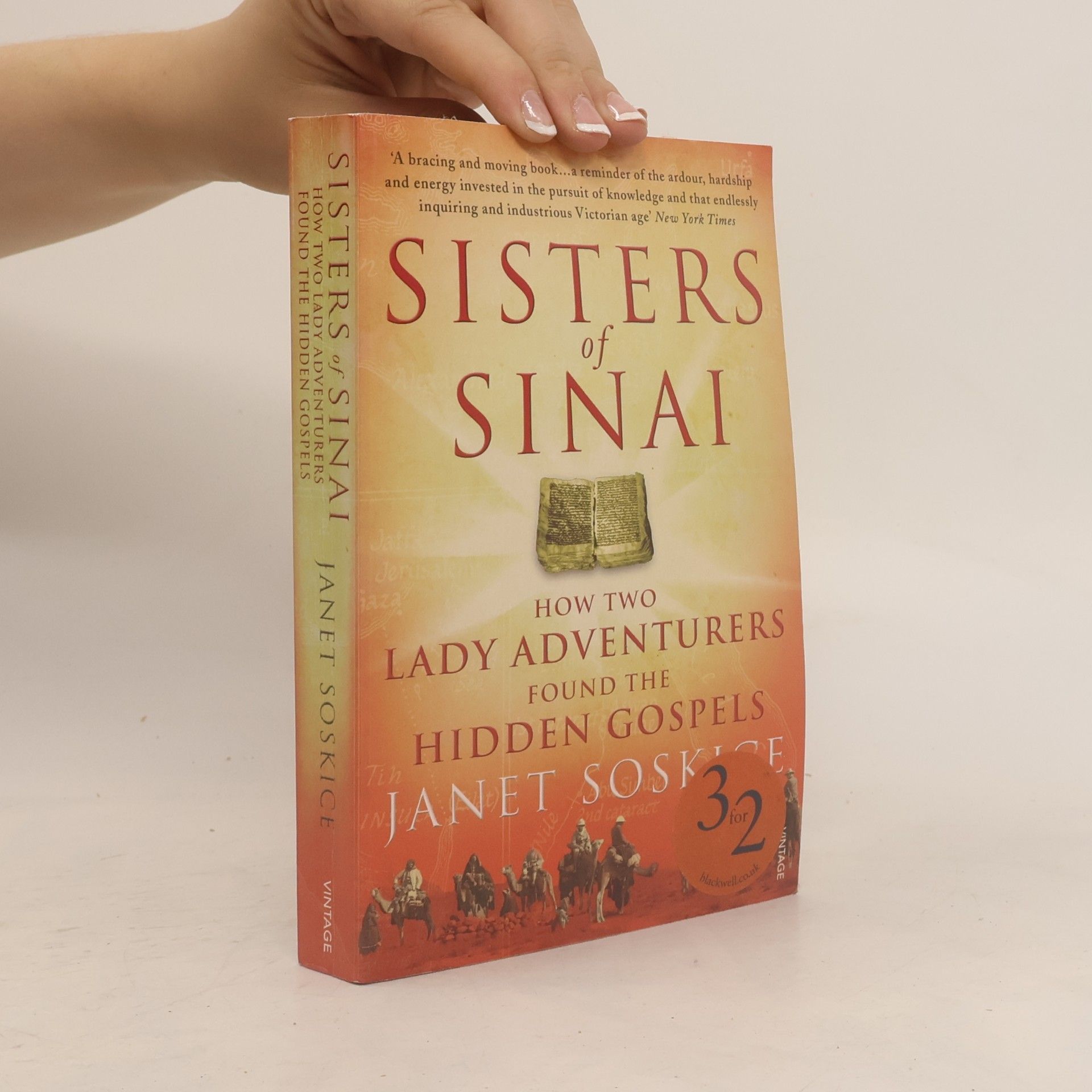 Janet Martin Soskice Sisters of Sinai