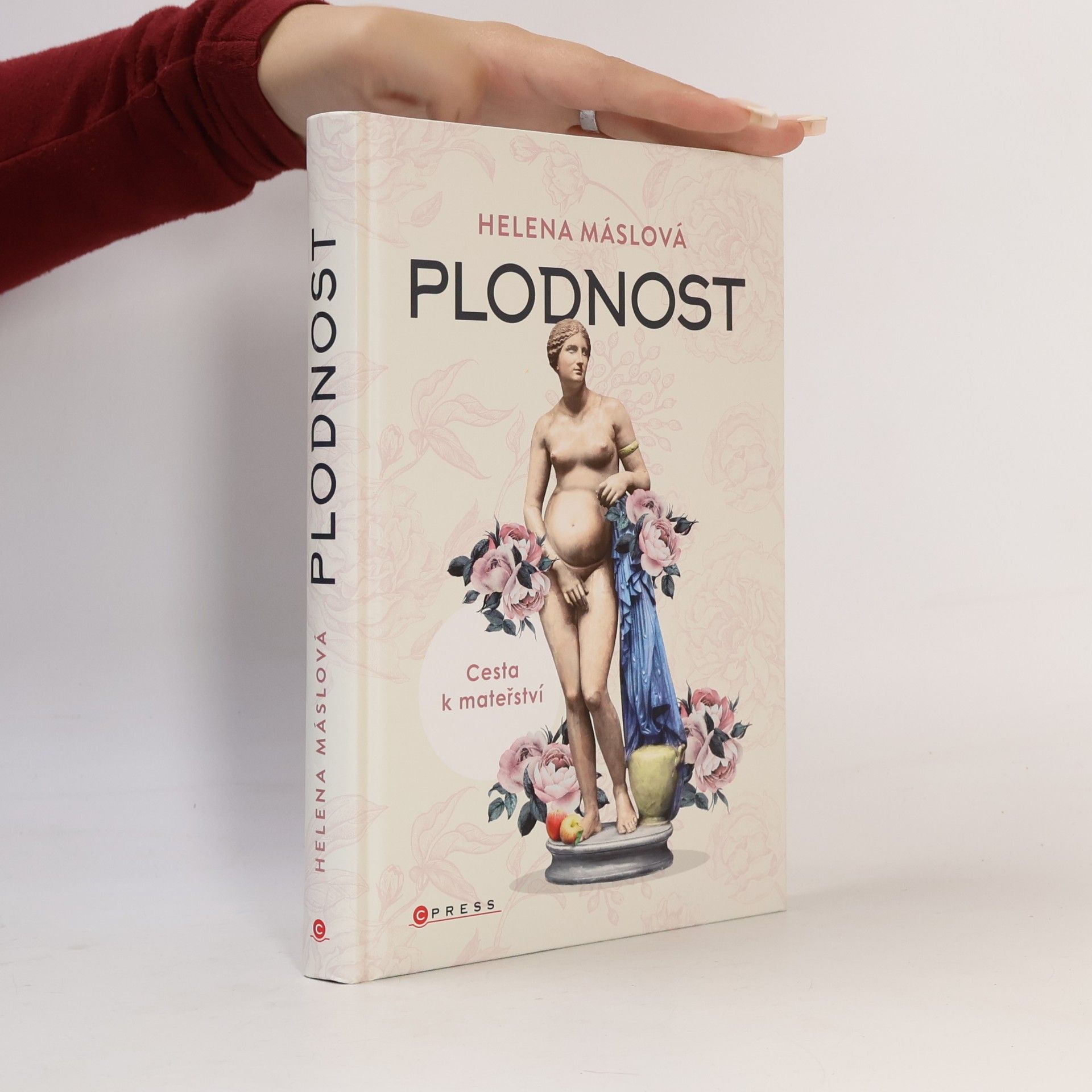 Helena Máslová Plodnost : cesta k mateřství