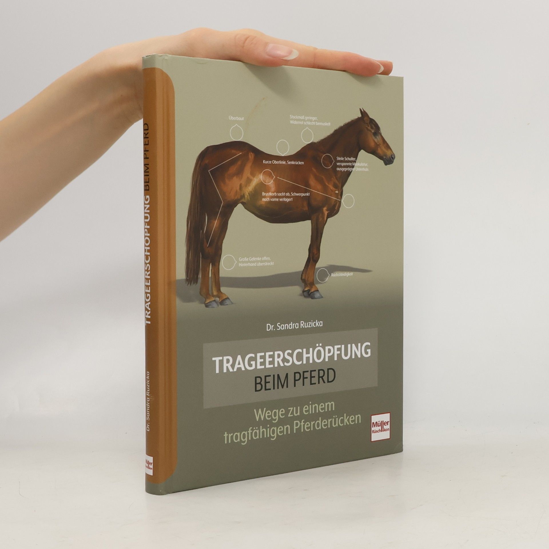 Trageerschöpfung beim Pferd