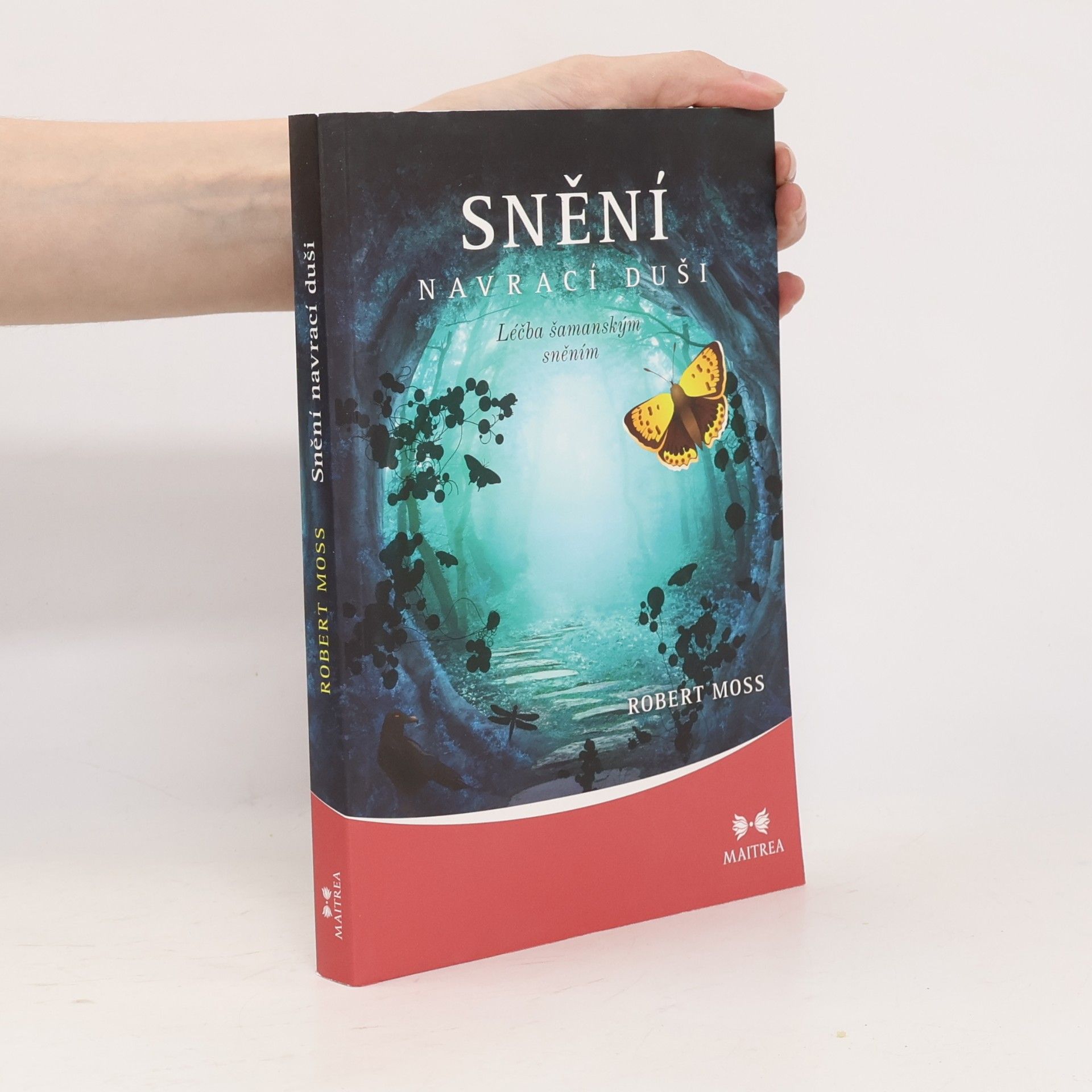 Robert Moss Snění navrací duši. Léčba šamanským sněním