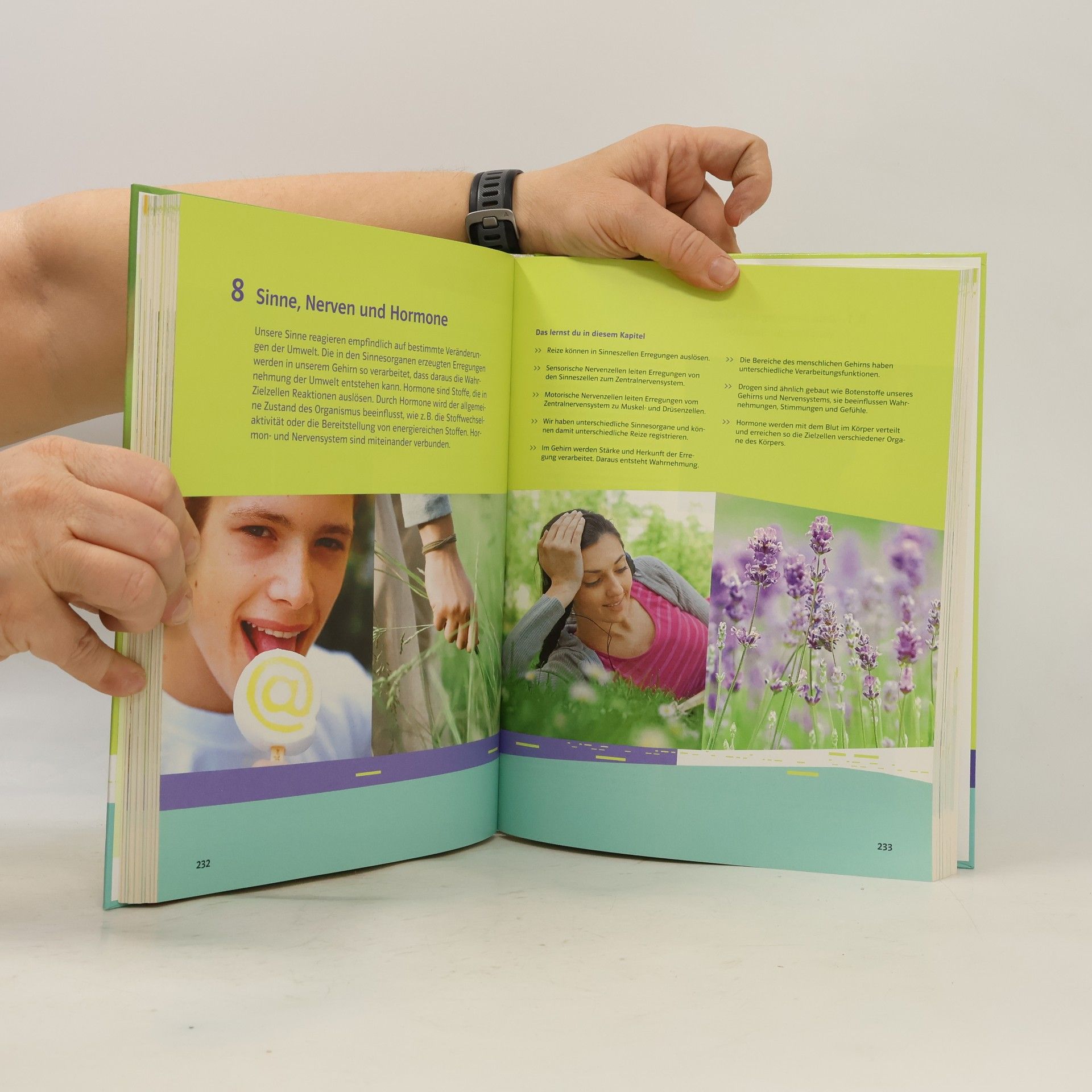 Autorenkollektiv Natura 2 - Biologie für Gymnasien