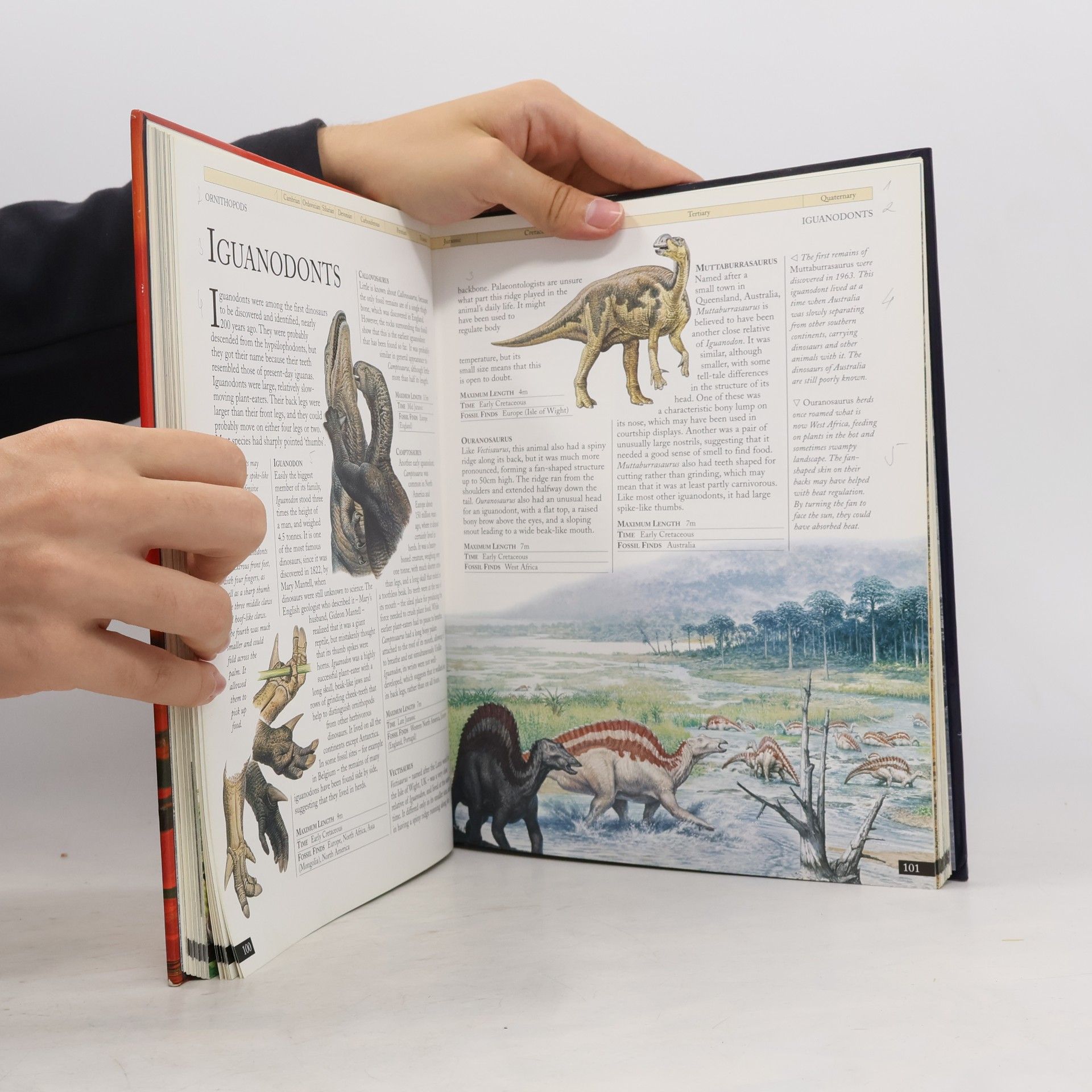 David Burnie The Kingfisher Illustrated Dinosaur Encyclopedia