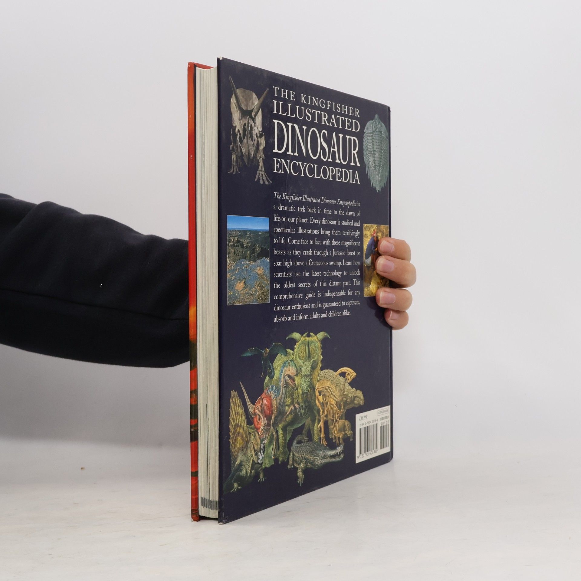 David Burnie The Kingfisher Illustrated Dinosaur Encyclopedia