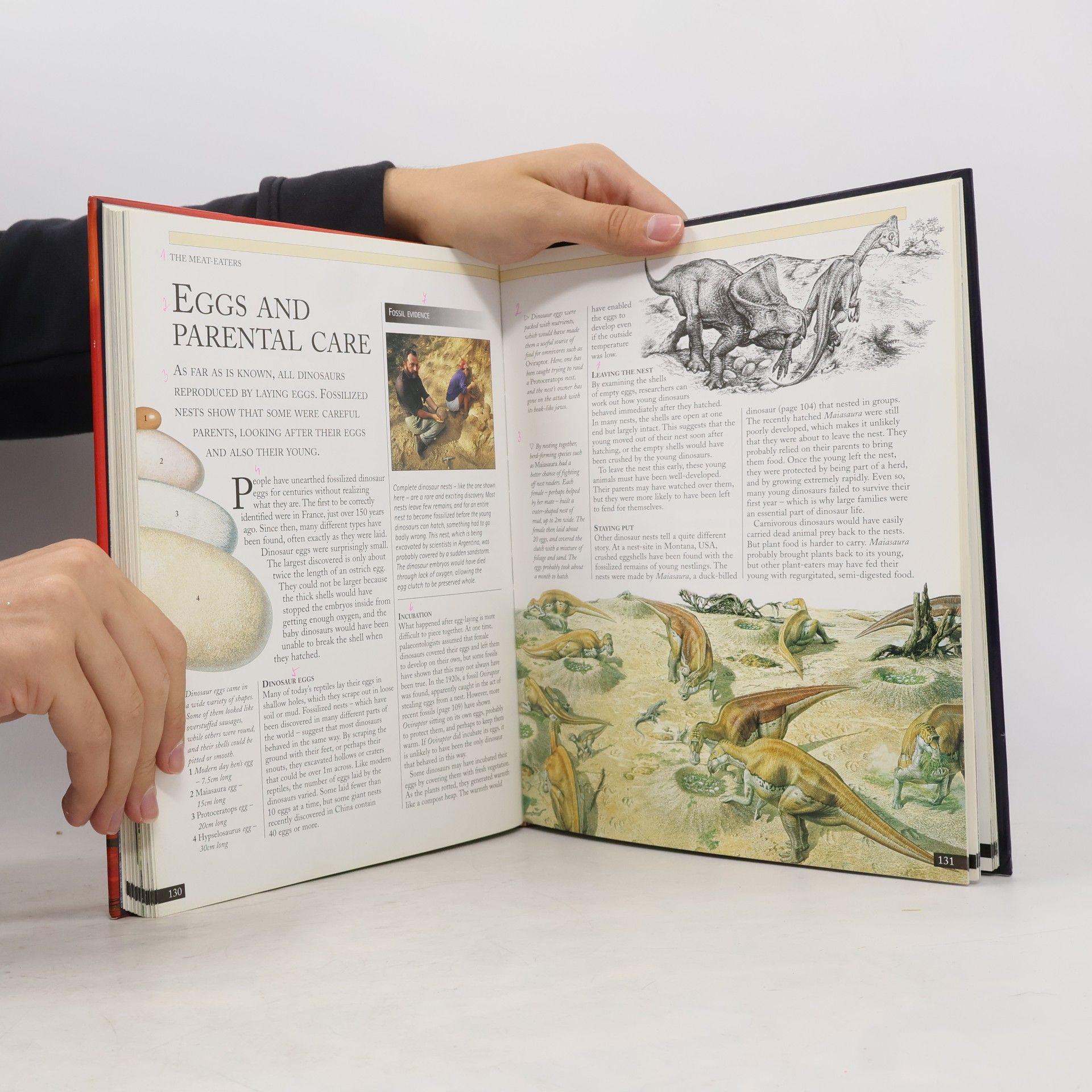 David Burnie The Kingfisher Illustrated Dinosaur Encyclopedia