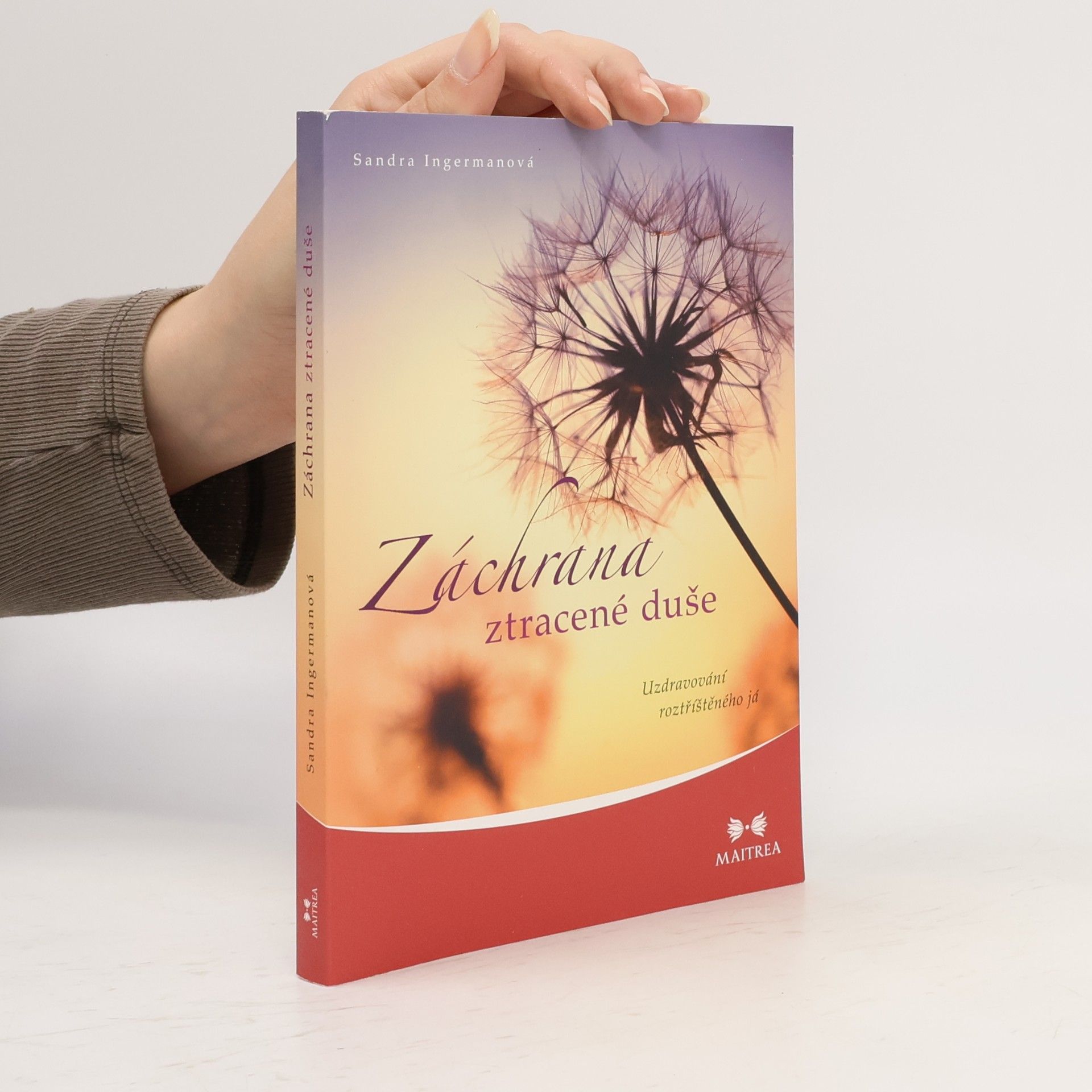 Sandra Ingerman Záchrana ztracené duše. Uzdravování roztříštěného já