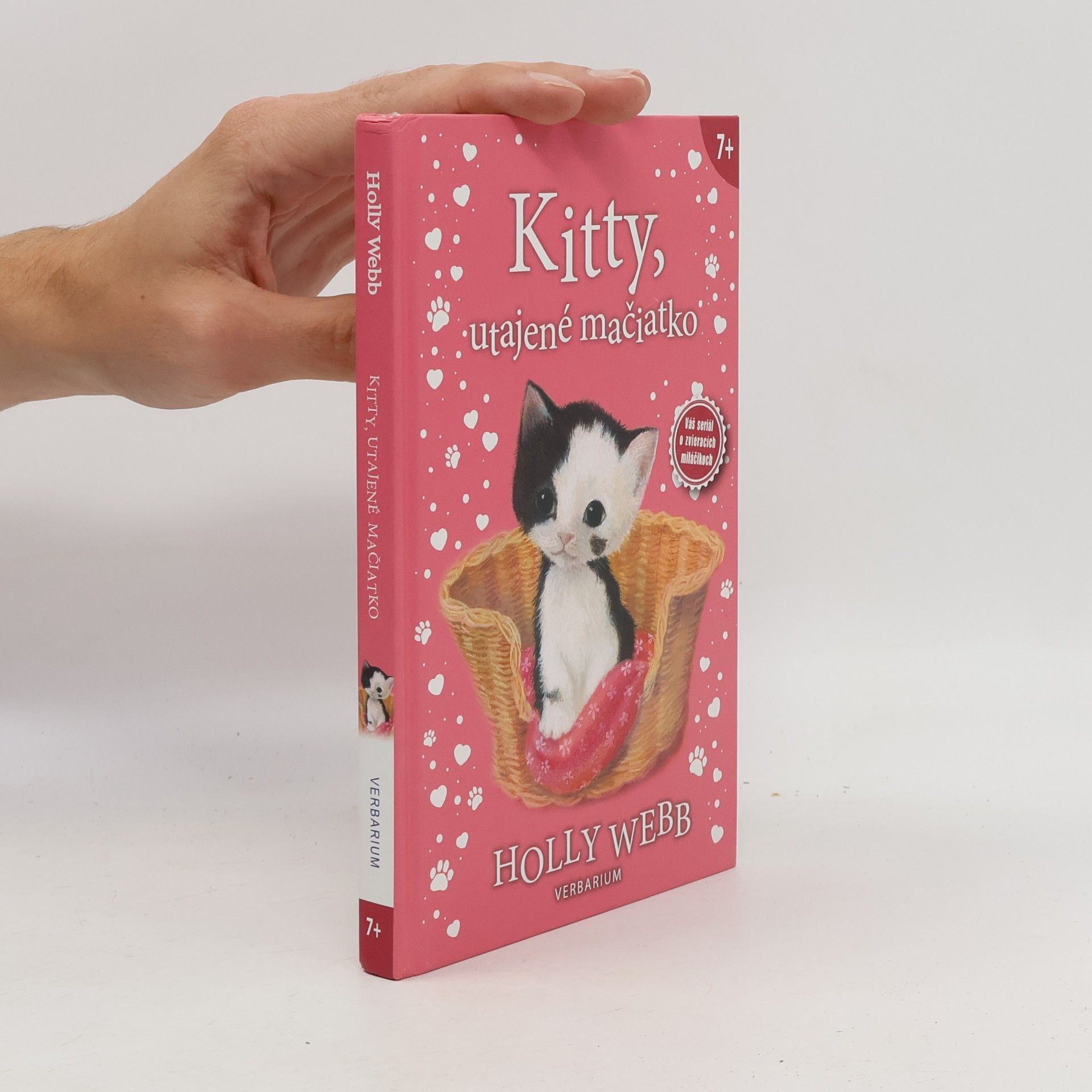 Holly Webb Kitty, utajené mačiatko