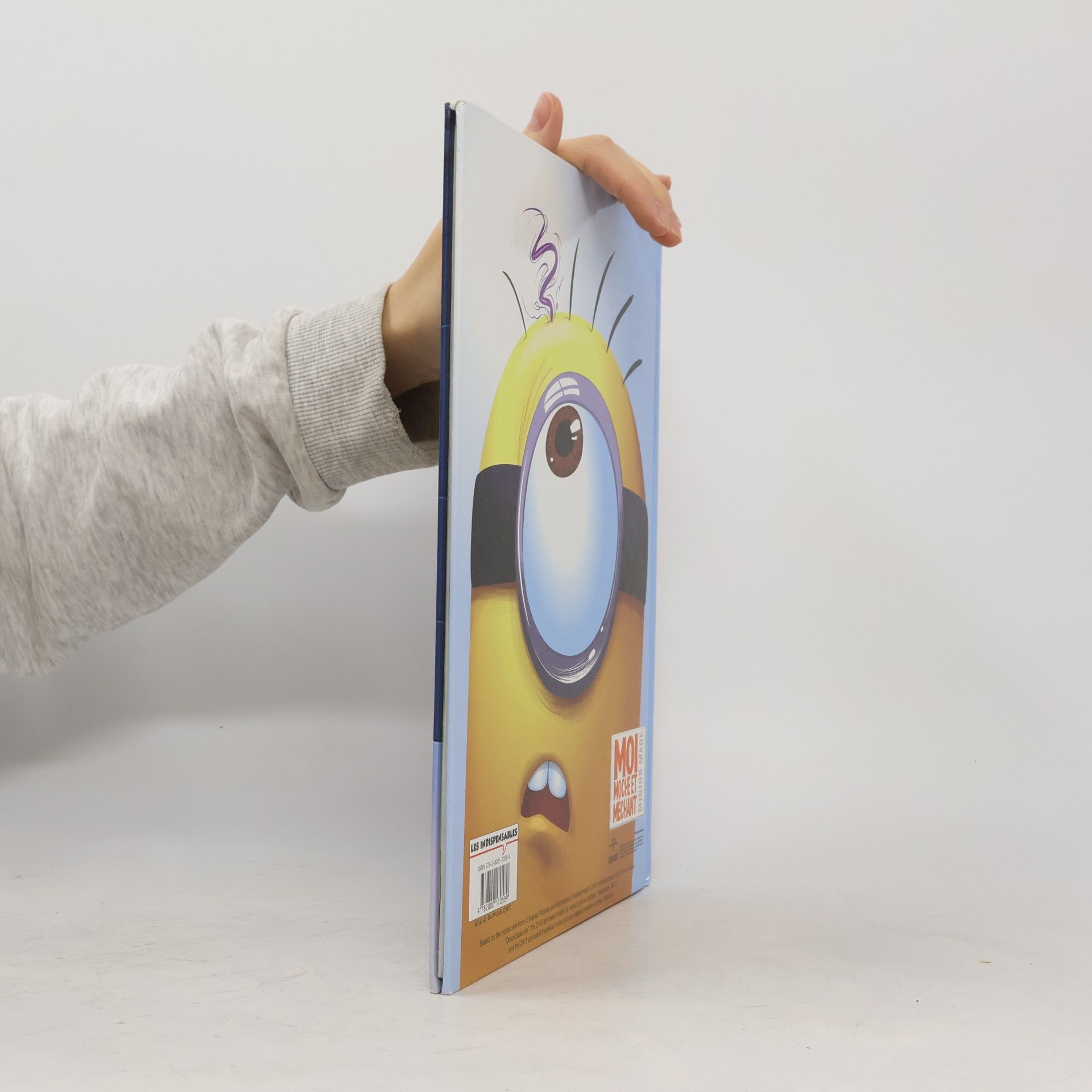 Renaud Collin Les Minions: Evil Panic