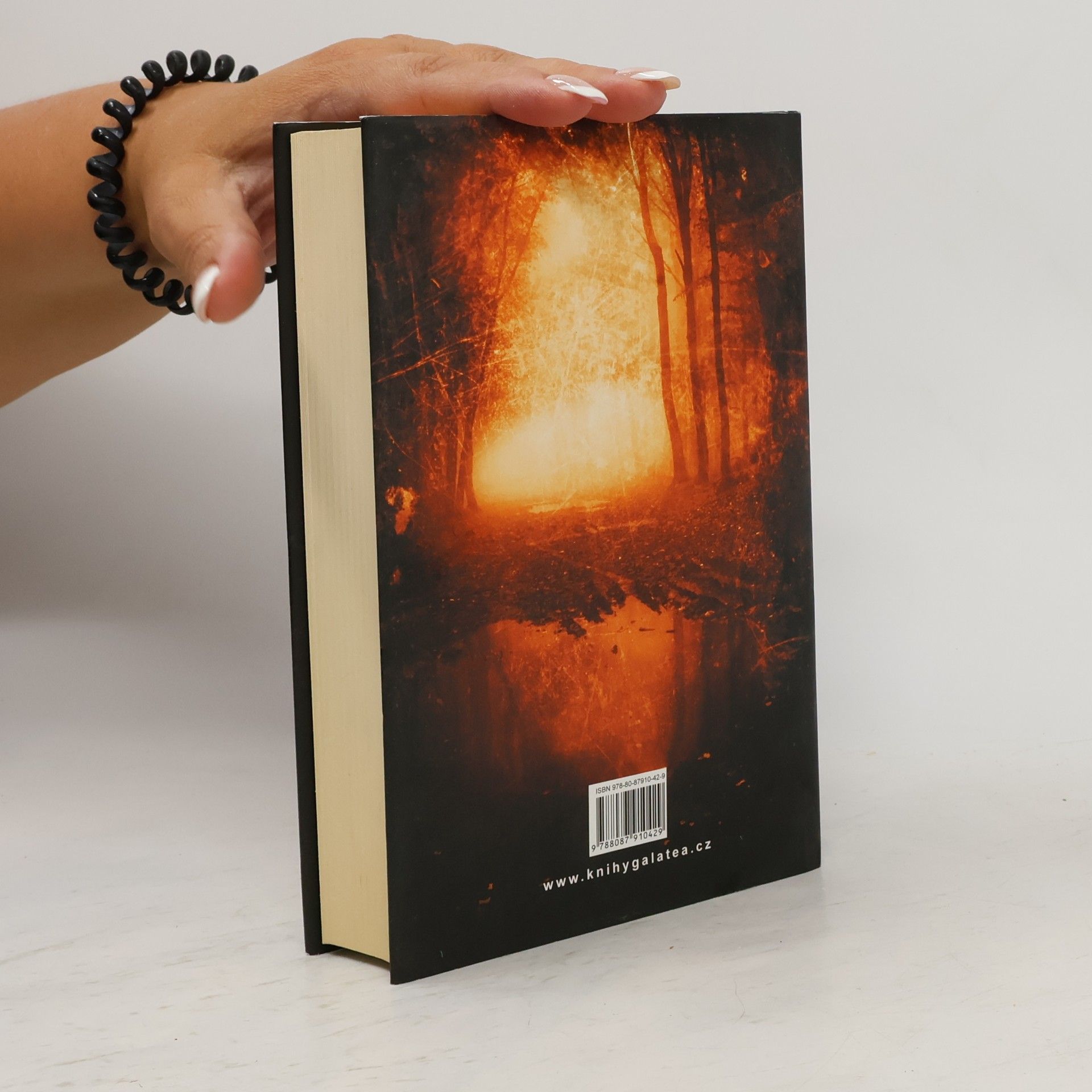 M. R. Hall Pohřešovaní : Jenny Cooperová: úřad koronera