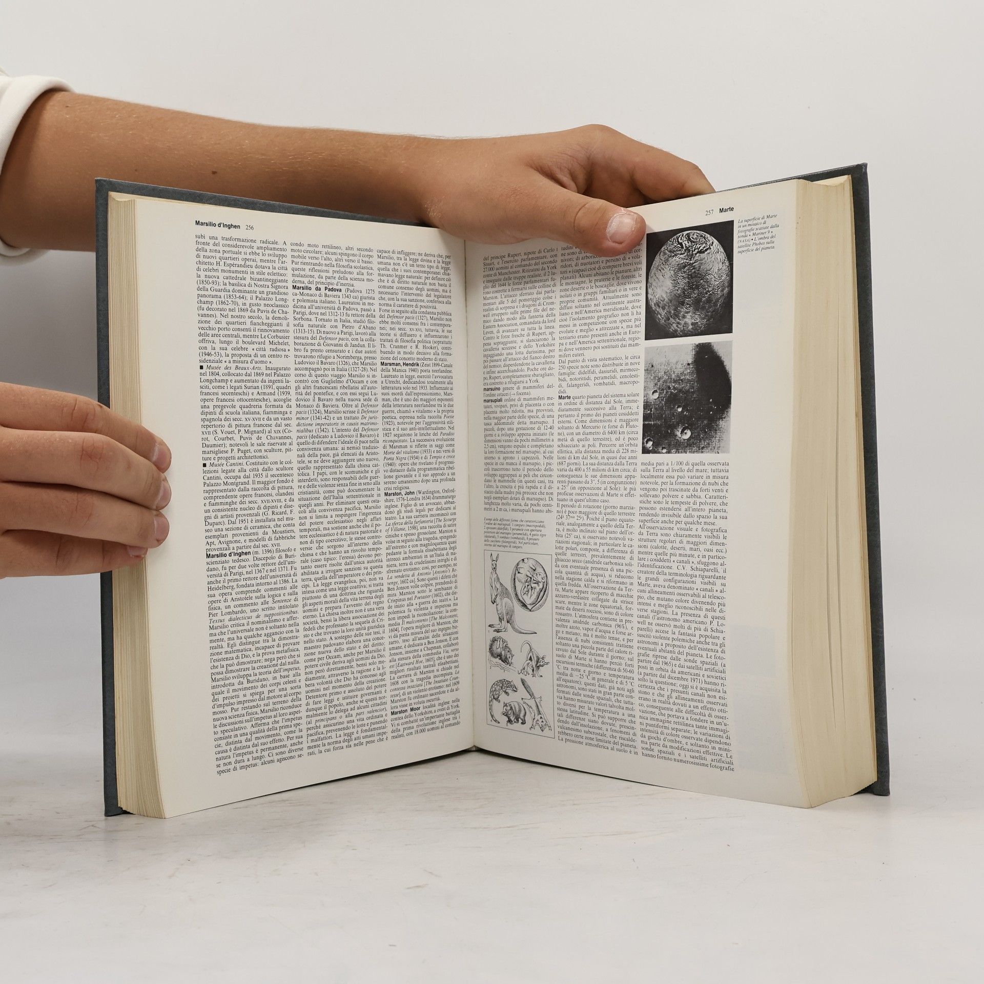 Autorenkollektiv Enciclopedia Europea VII