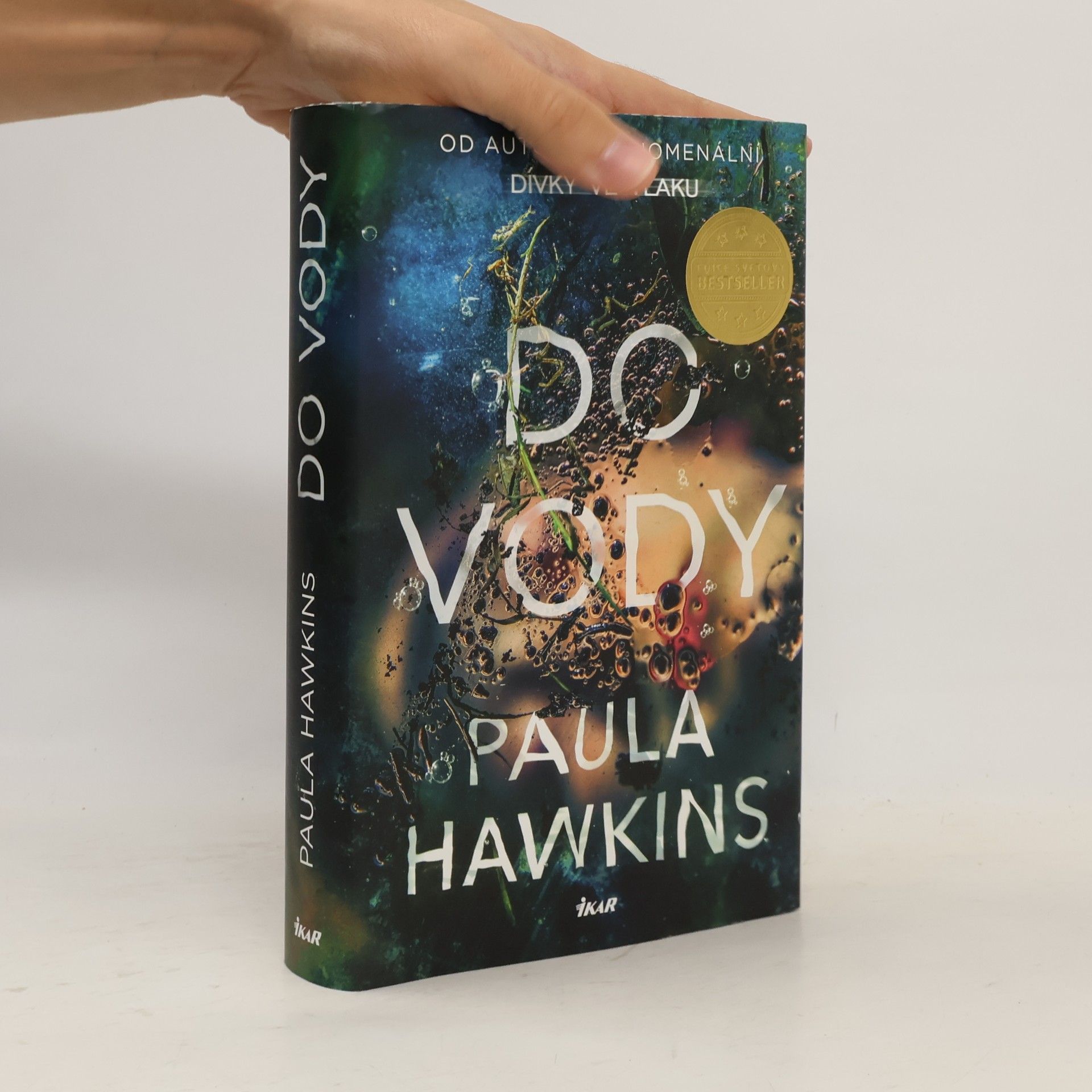 Paula Hawkins Do vody