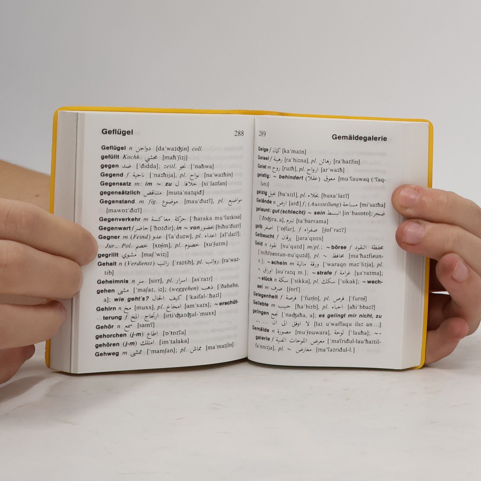 Harald Funk Langenscheidts Universal-Wörterbuch Arabisch
