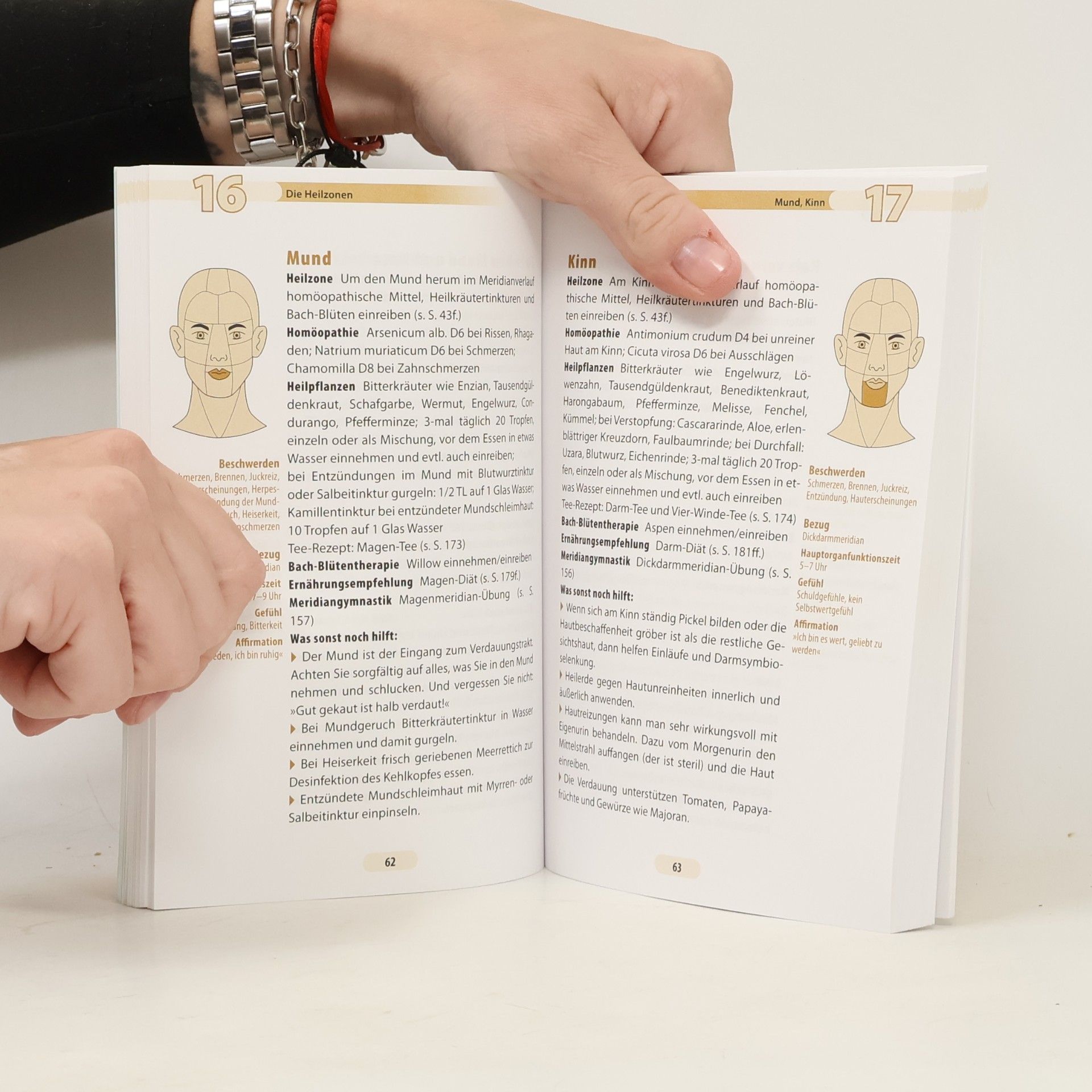 Hannelore Fischer Reska Das Heilzonenbuch