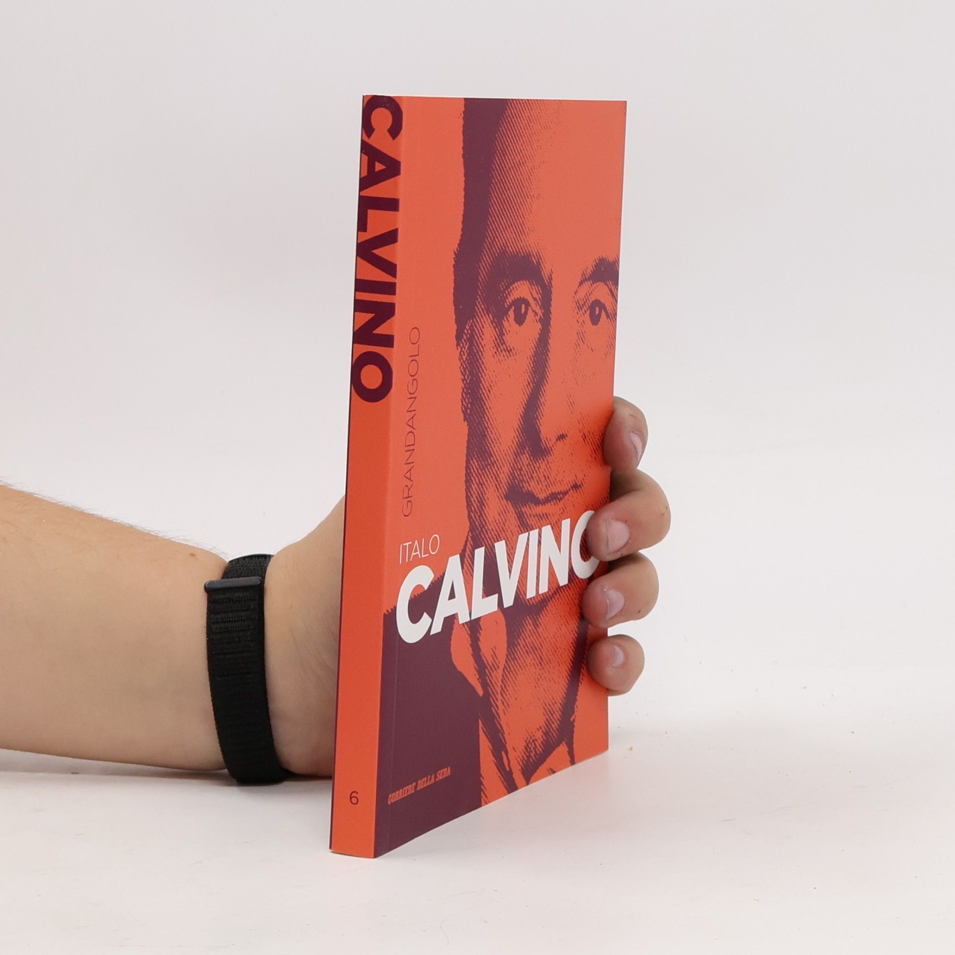 Autorenkollektiv Grandangolo Letteratura 6: Italo Calvino