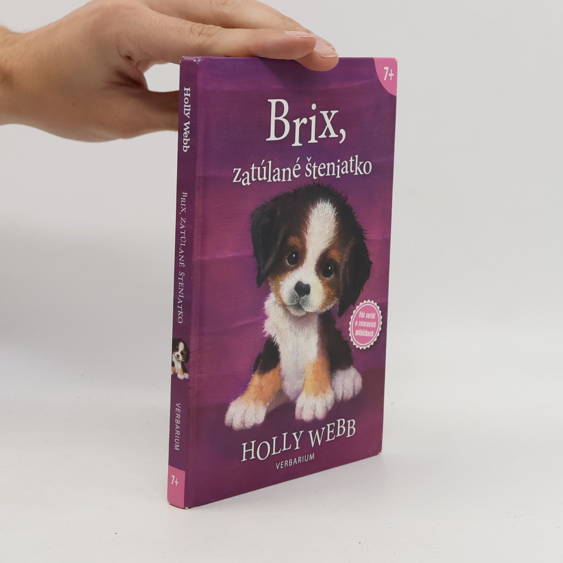Holly Webb Brix, zatúlané šteniatko