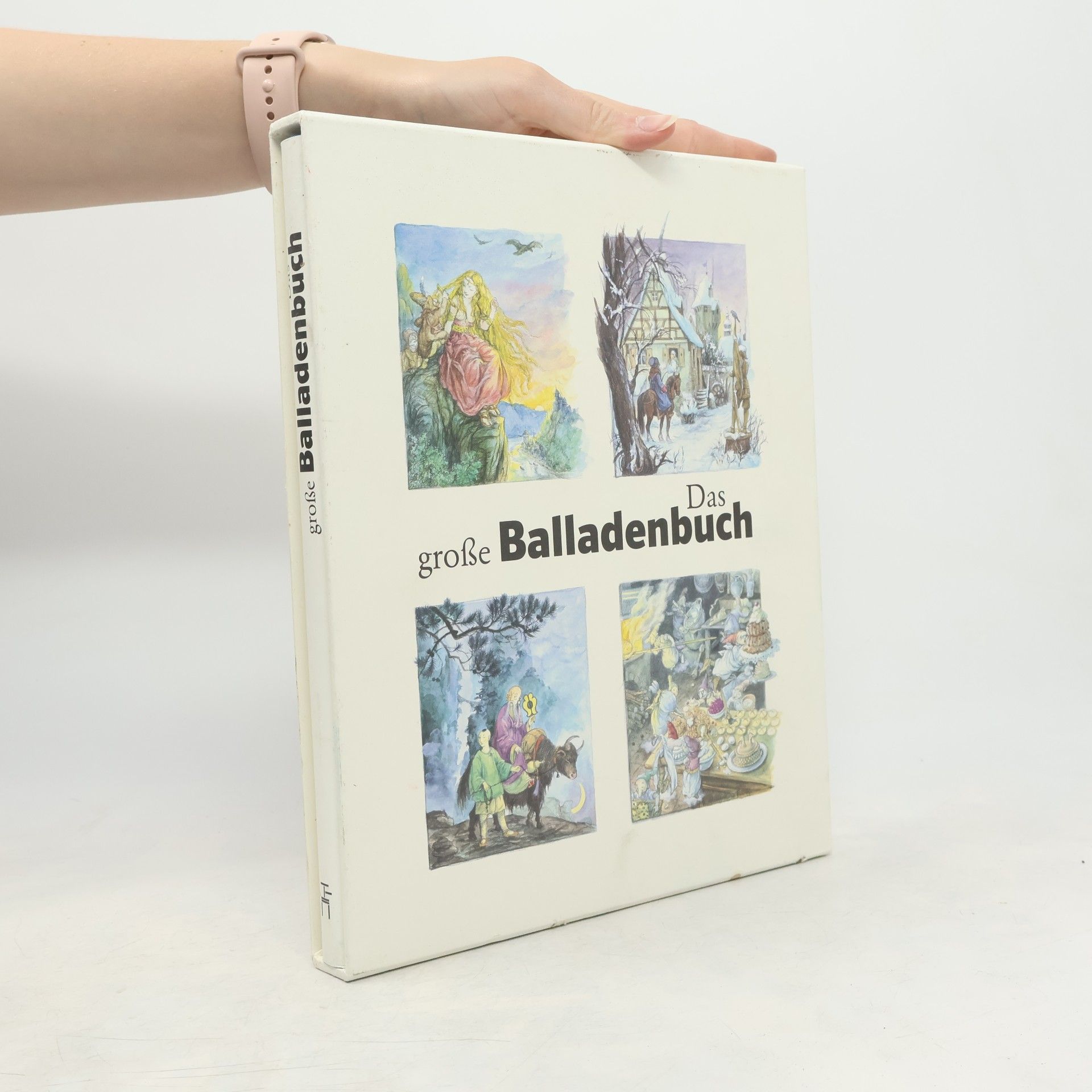 Das große Balladenbuch
