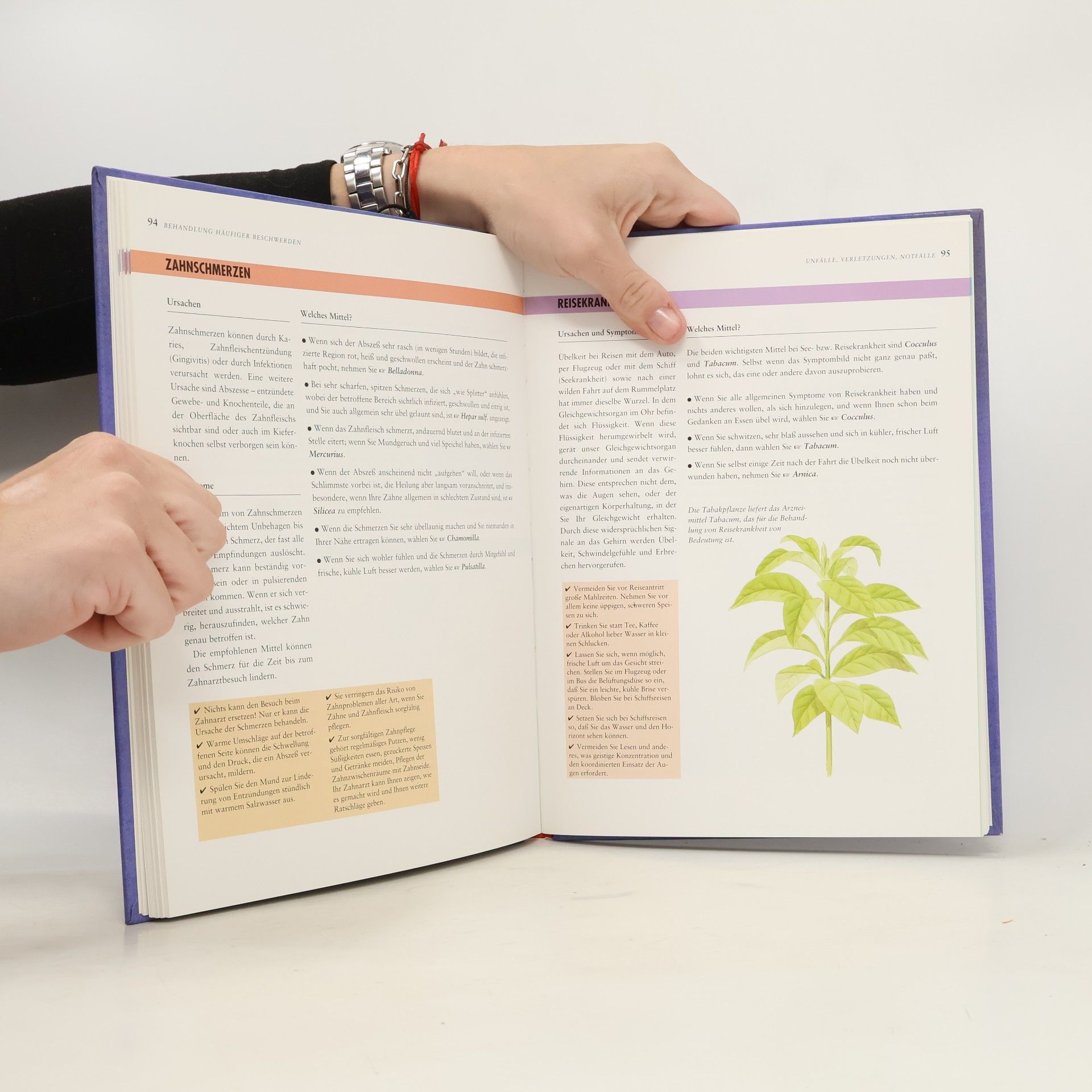 Robin Hayfield Familienhandbuch der Homöopathie