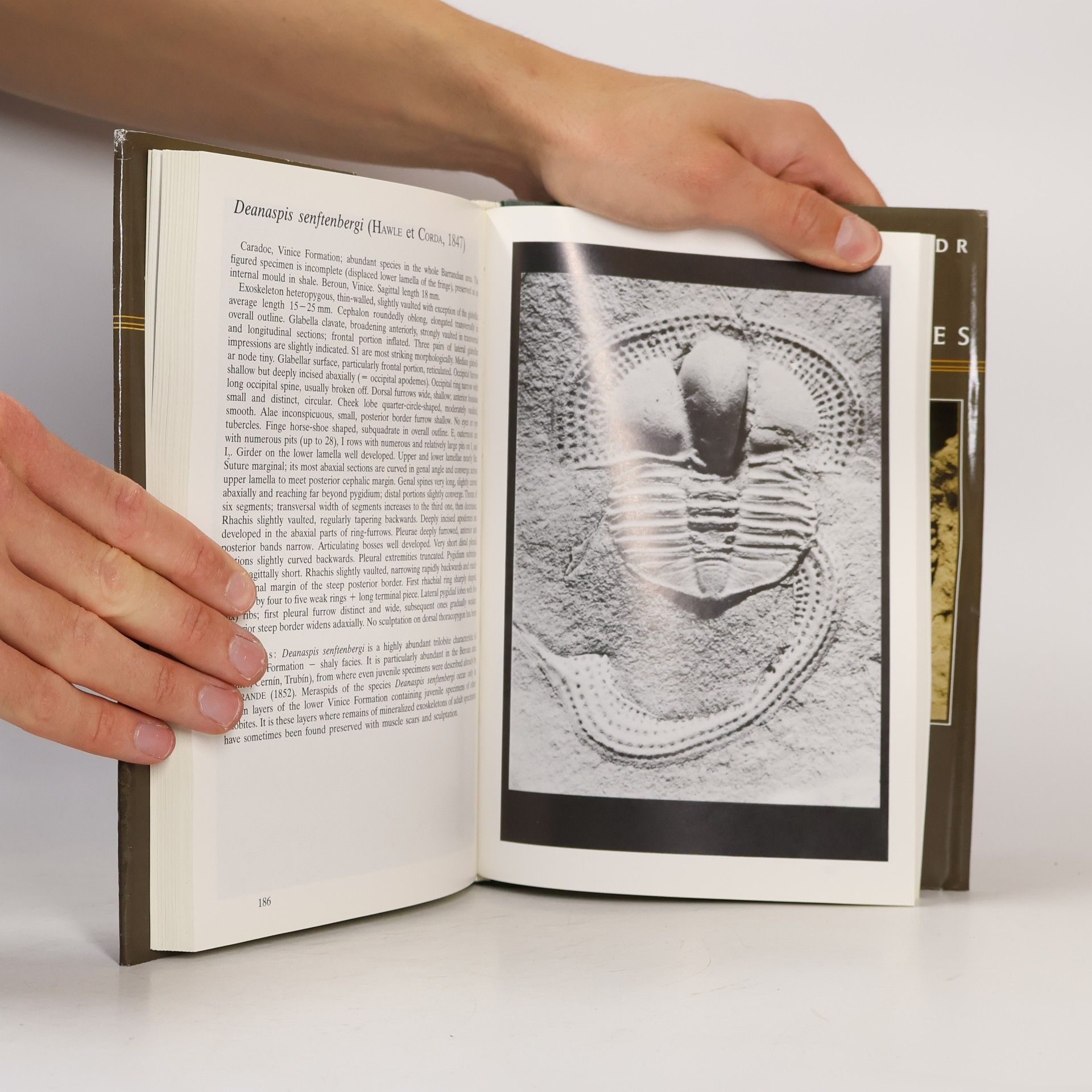Milan Šnajdr Bohemian trilobites