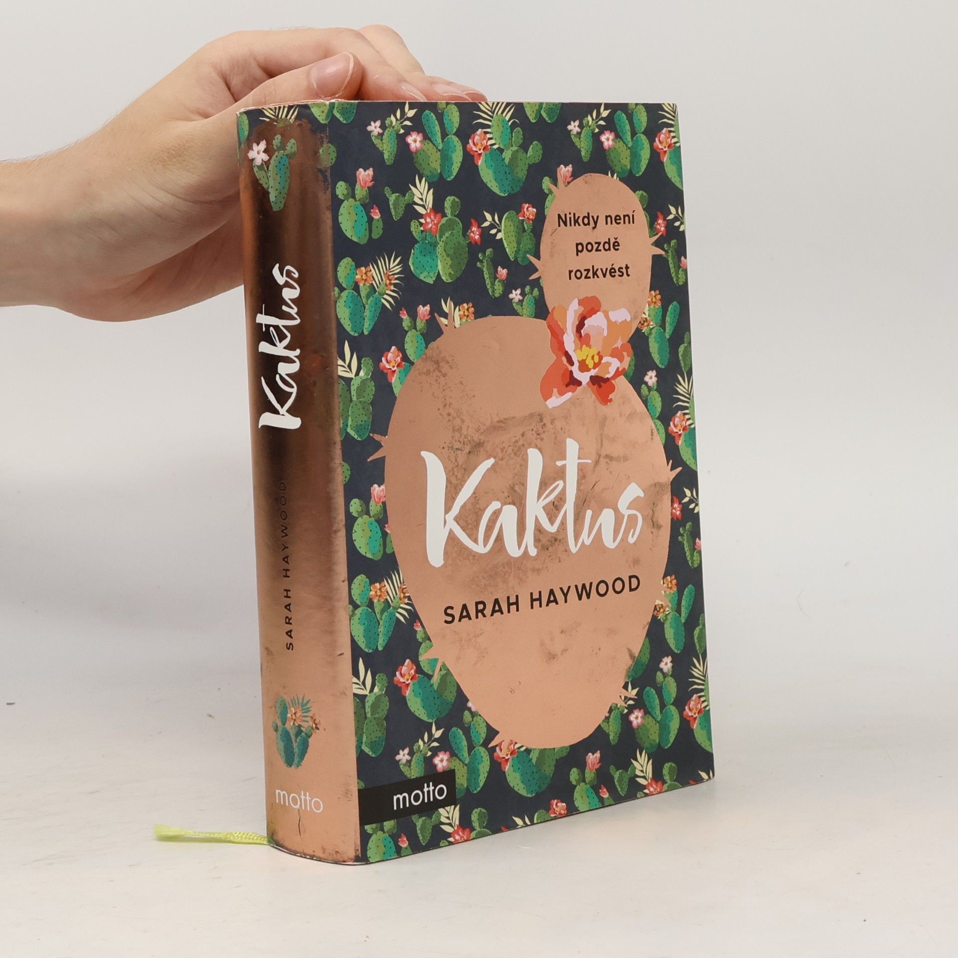Sarah Haywood Kaktus