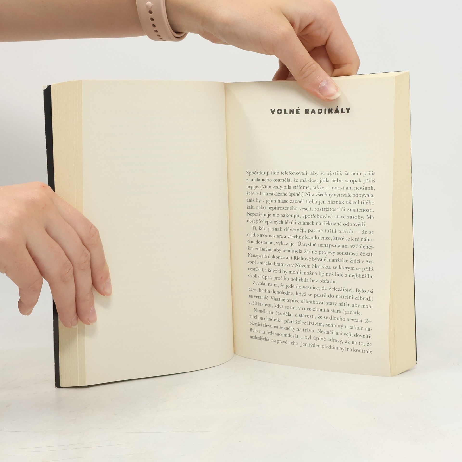 Alice Munro Příliš mnoho štěstí