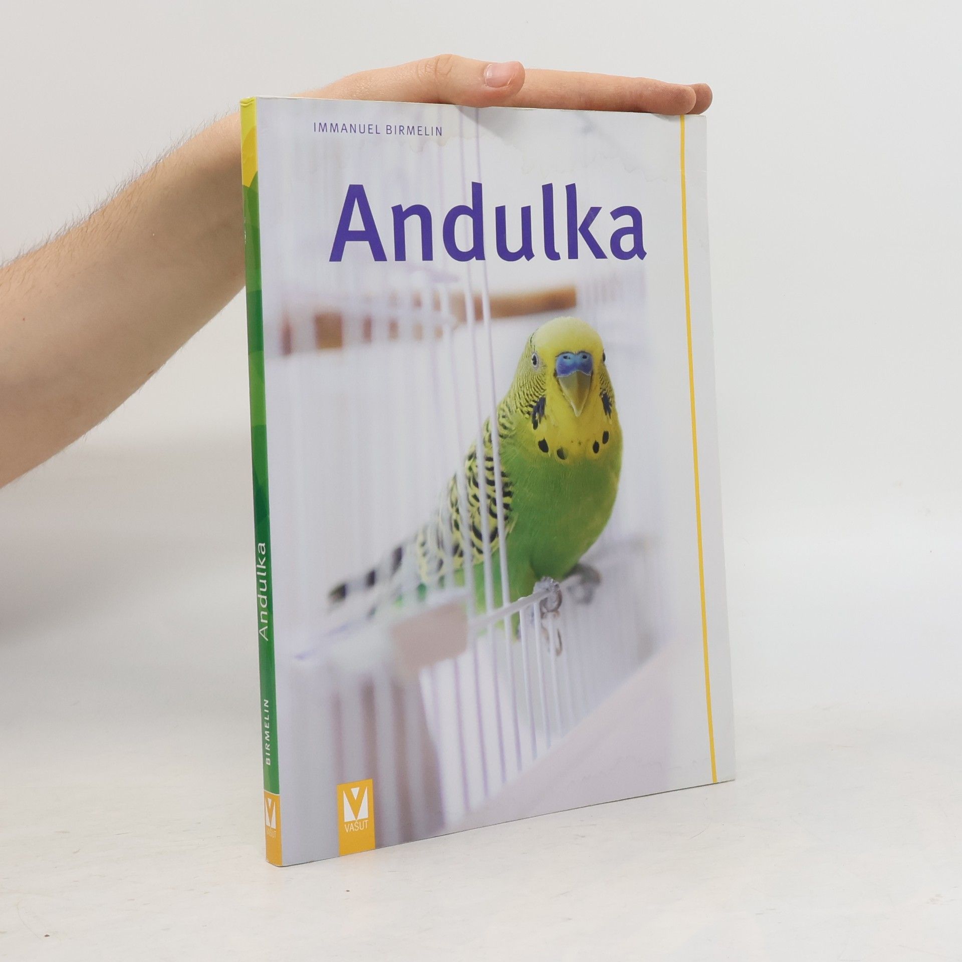 Immanuel Birmelin Andulka