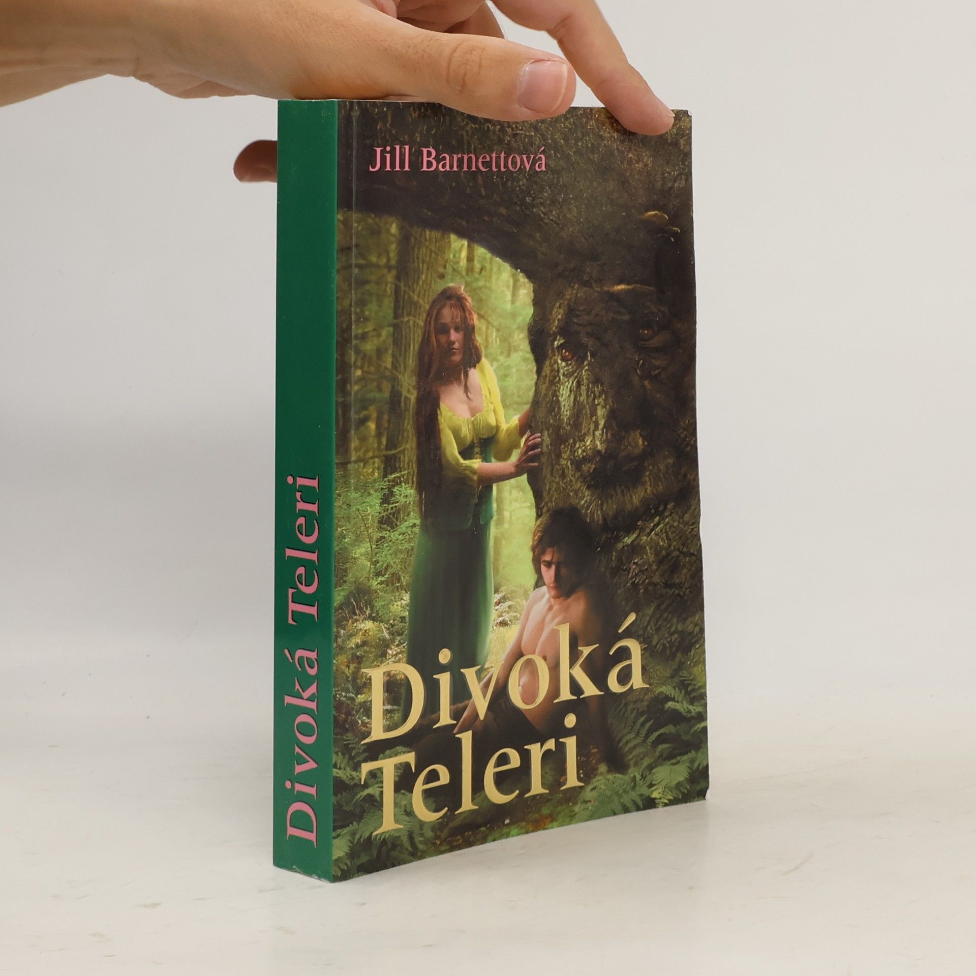 Jill Barnett Divoká Teleri