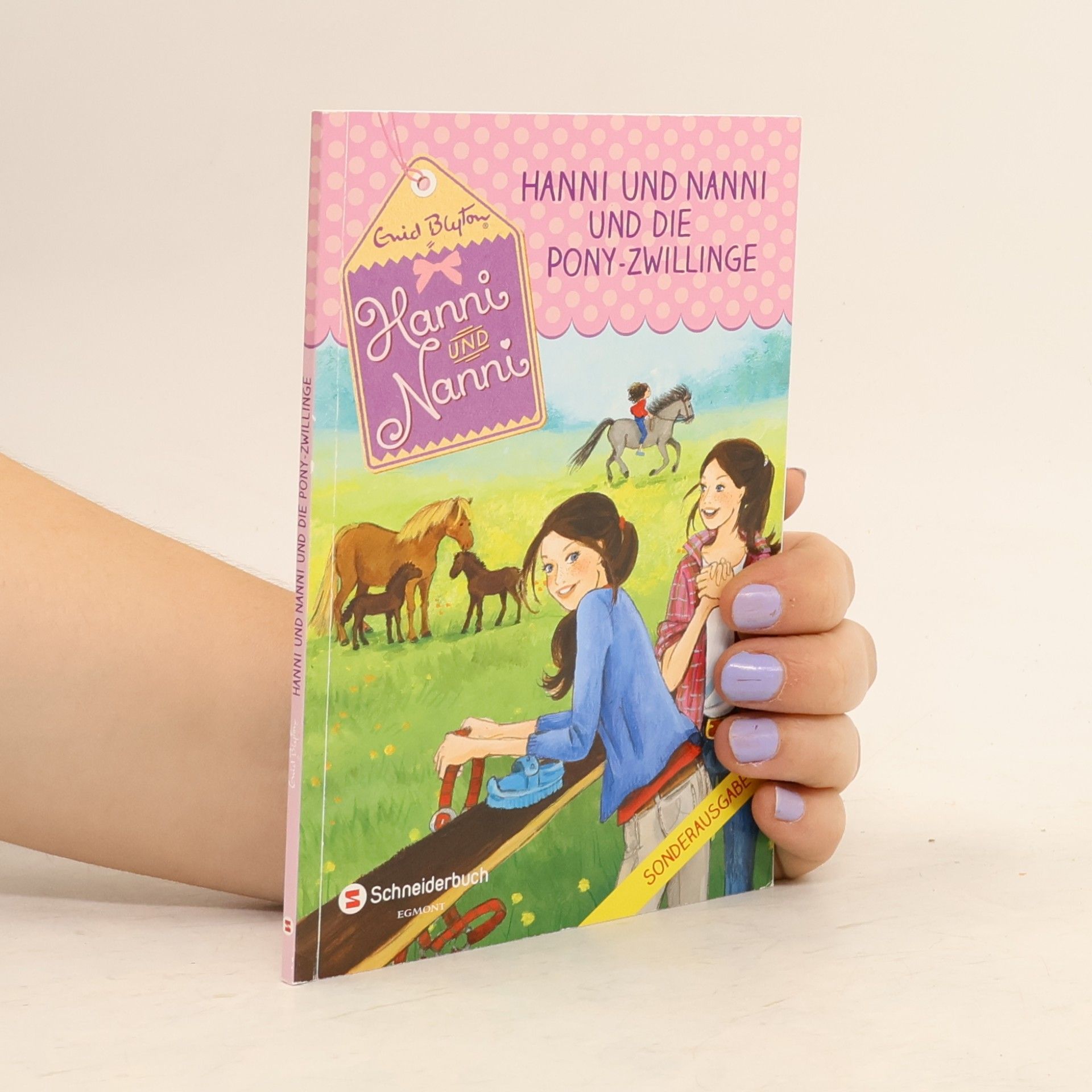 Enid Blyton Hanni und Nanni und die Pony-Zwillinge