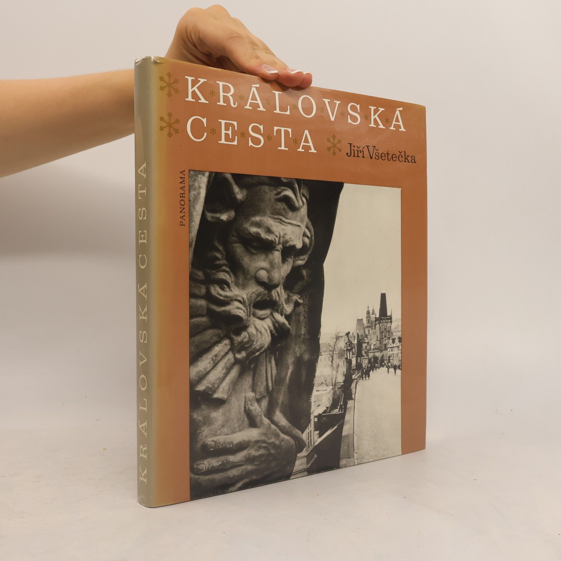 Jiří Všetečka Královská cesta