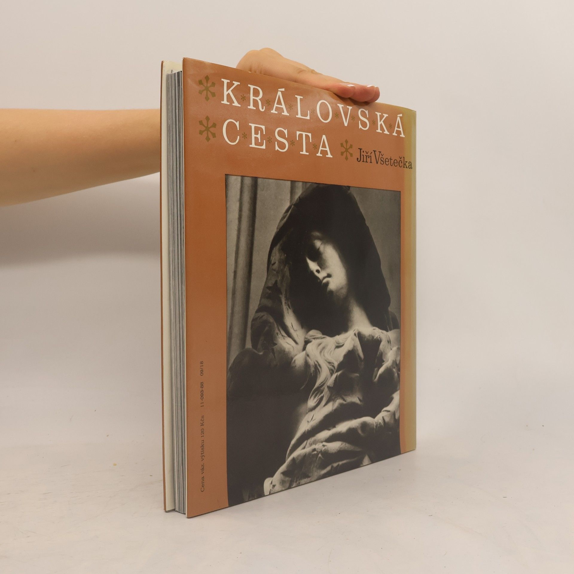 Jiří Všetečka Královská cesta