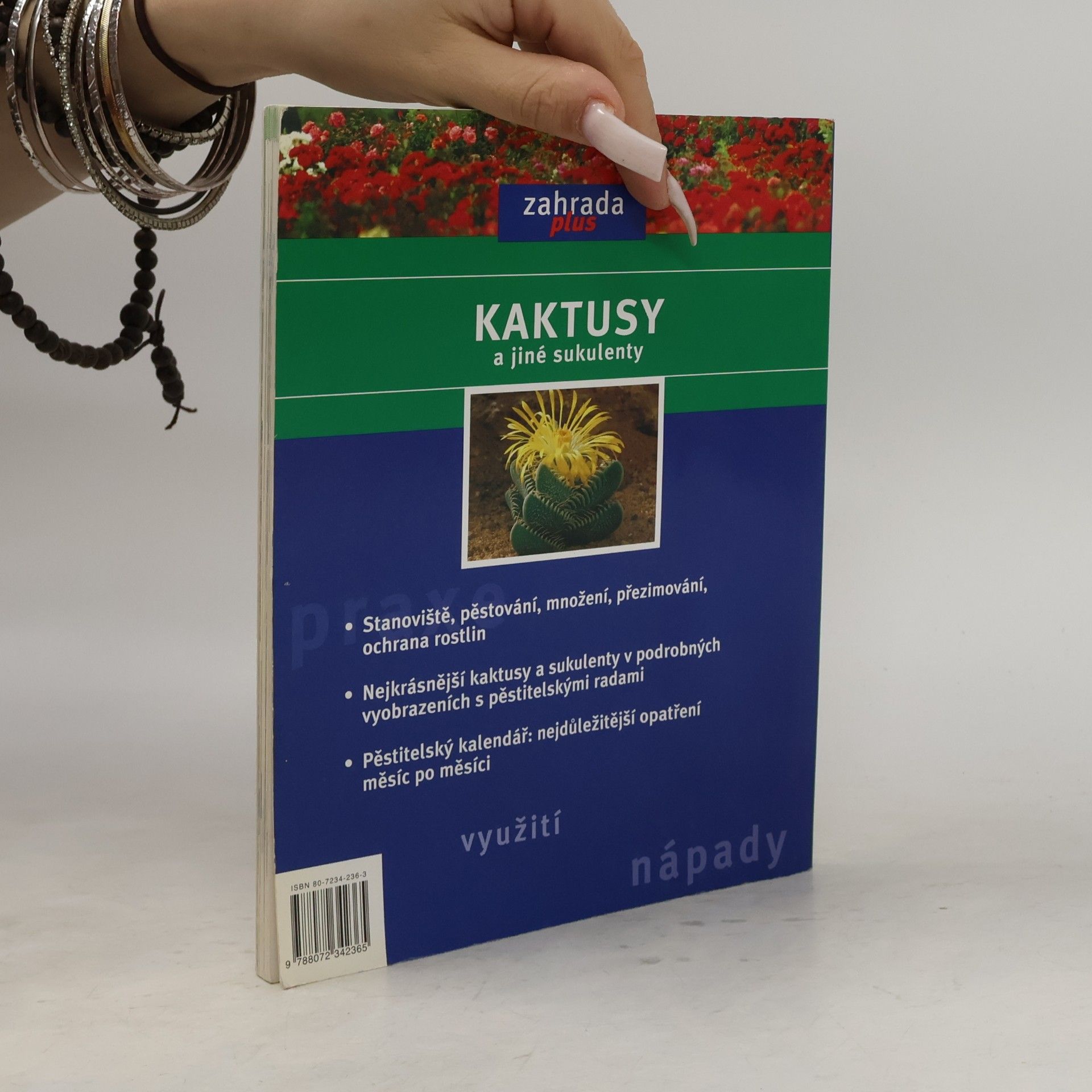 Elisabeth Manke Kaktusy a jiné sukulenty: Pěstování, přezimování, množení