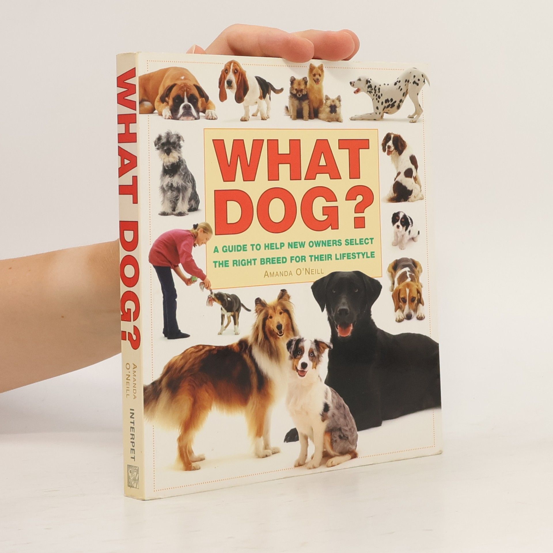 Amanda O´Neill What Dog?