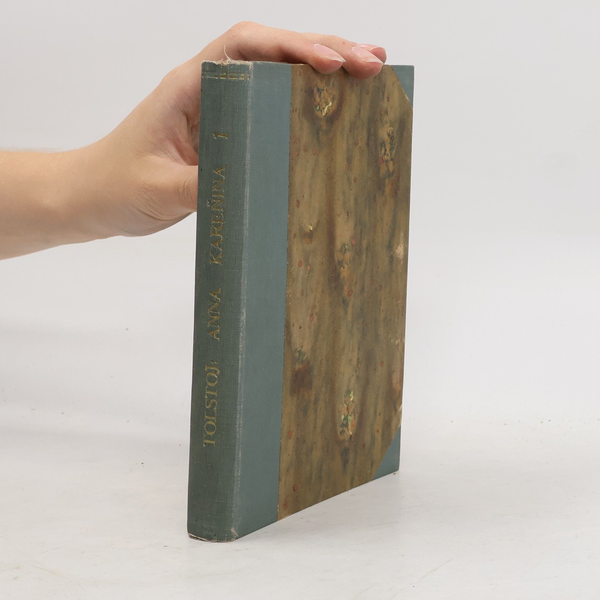 Lew Nikolajewitsch Tolstoi Anna Karenina 1