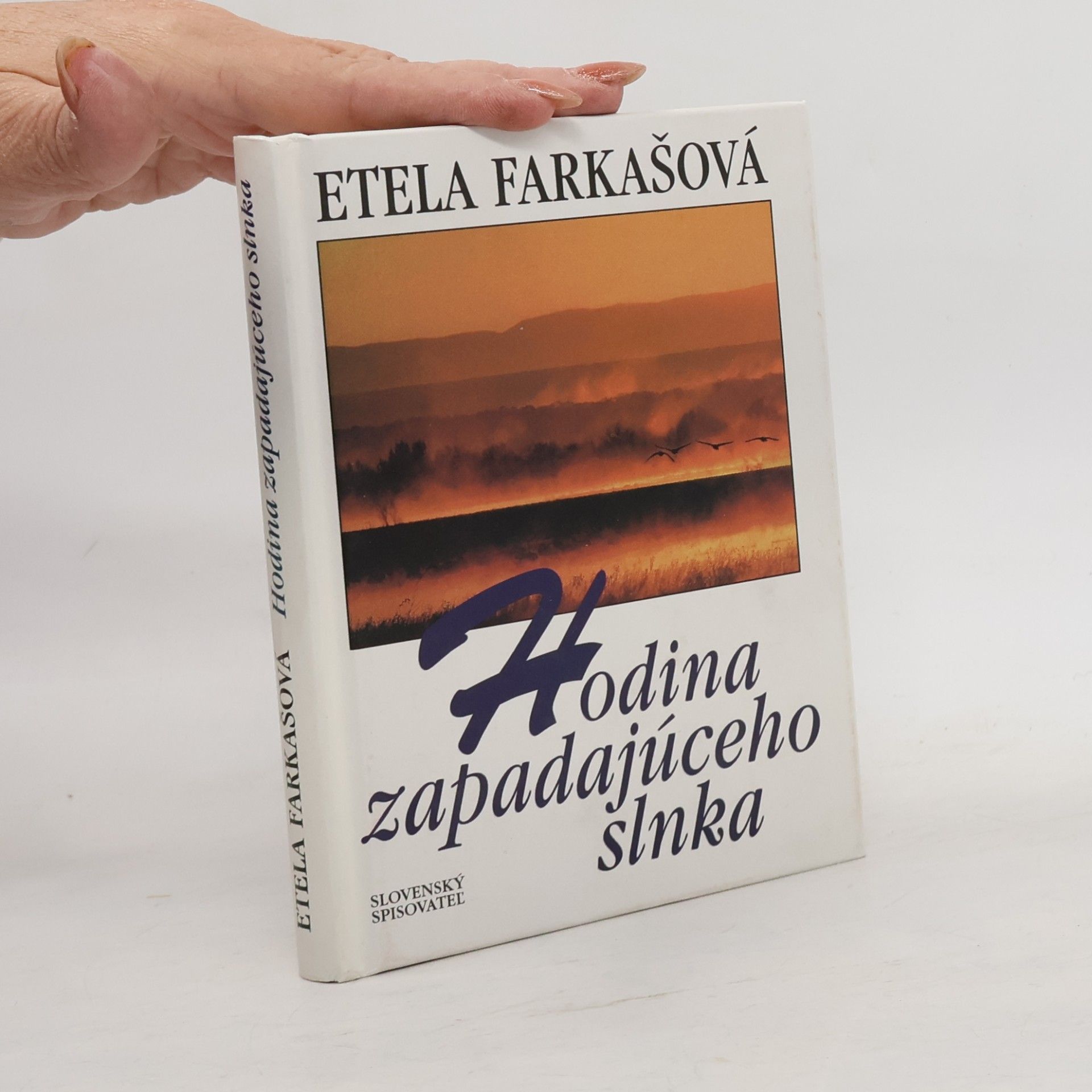 Etela Farkašová Hodina zapadajúceho slnka