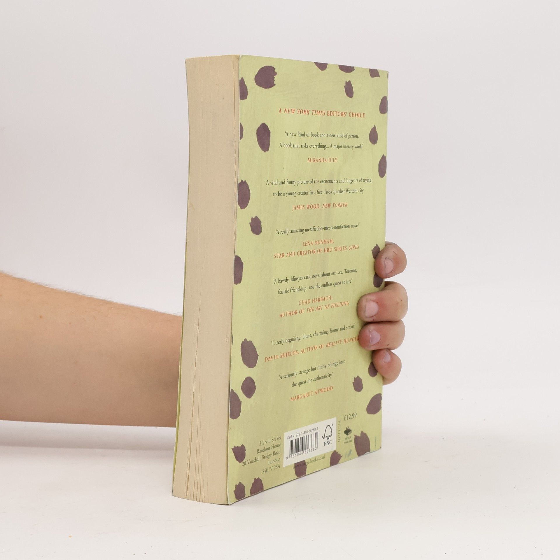 Sheila Heti How Should a Person Be?