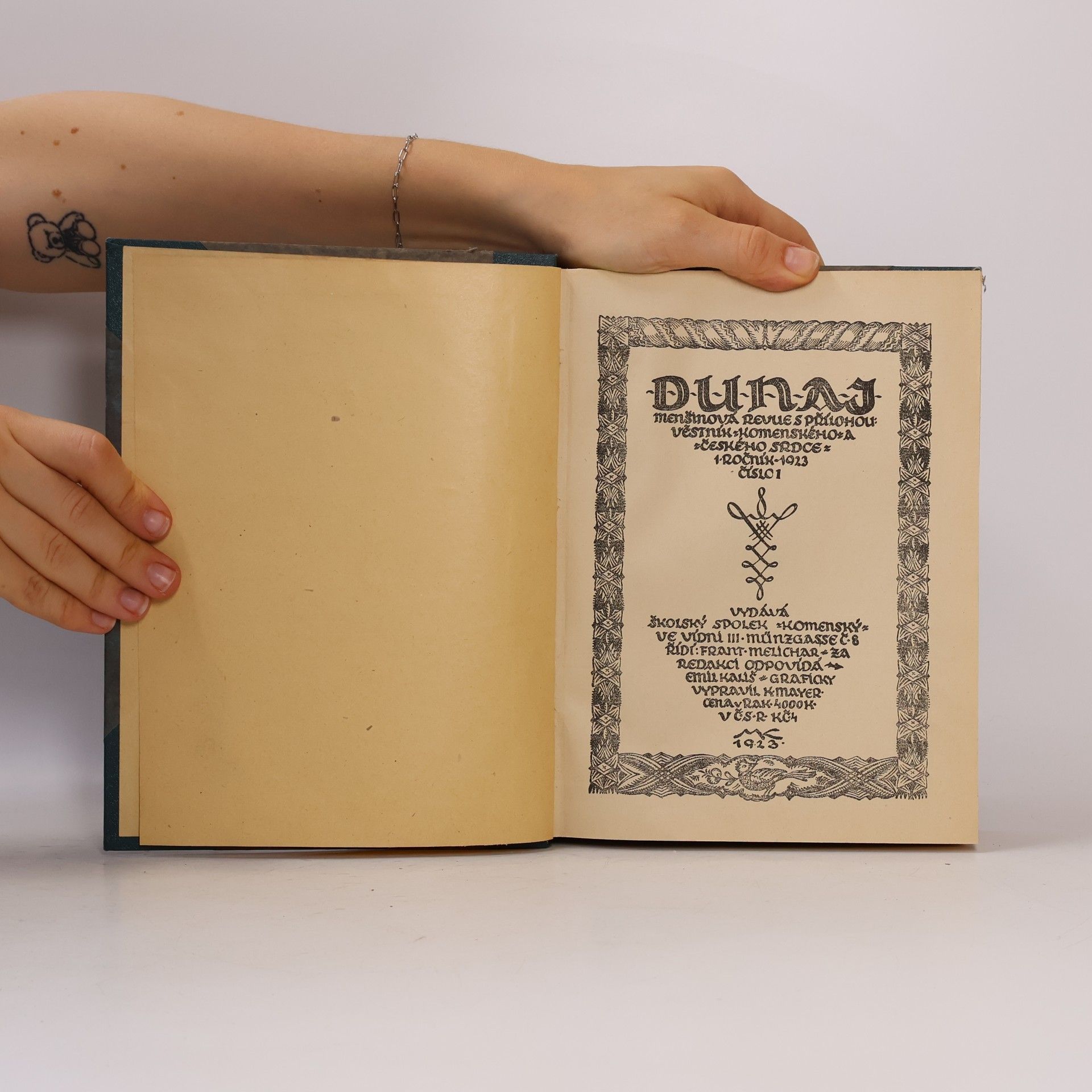 Autores varios Dunaj 1