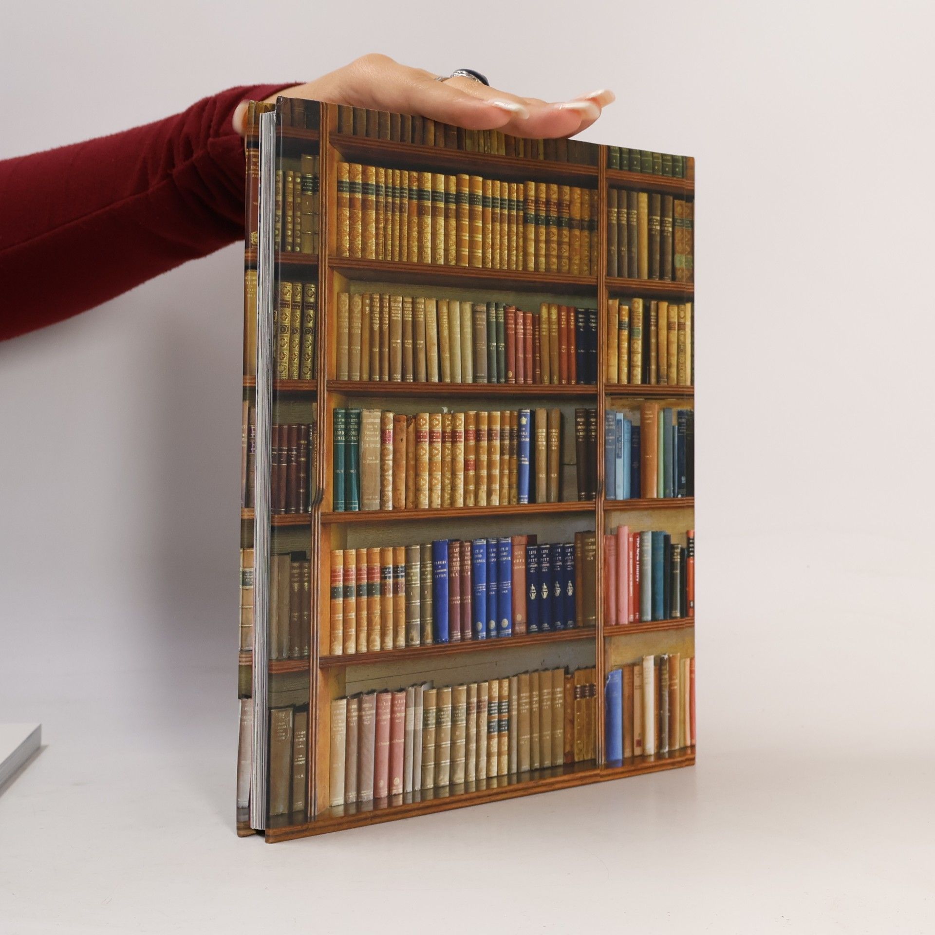 Damian Thompson Wohnen mit Büchern