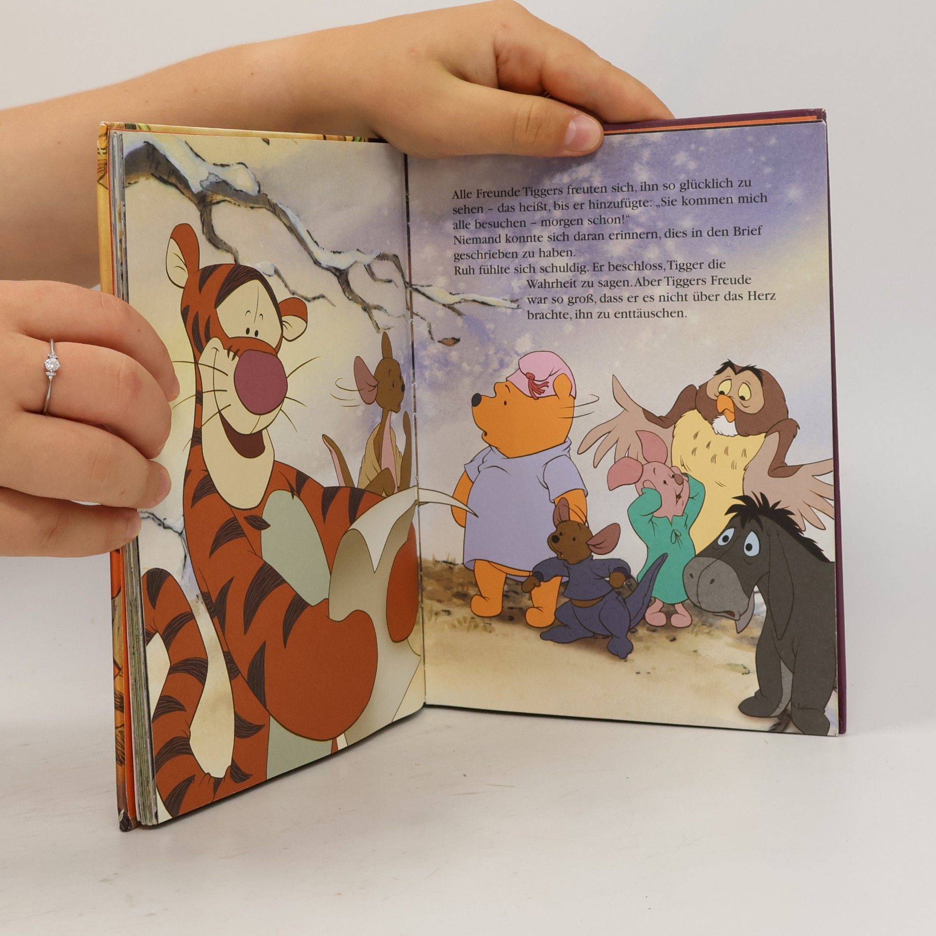 Walt Disney Tiggers grosses Abenteuer