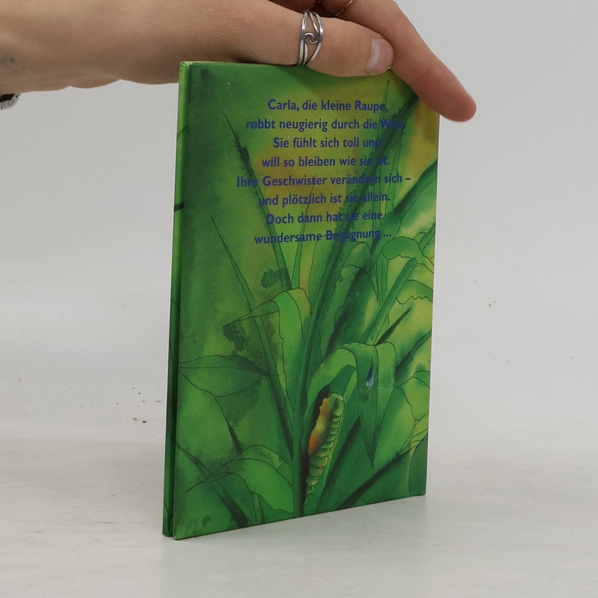 Judith Steinbacher Die kleine Raupe, die kein Schmetterling werden wollte