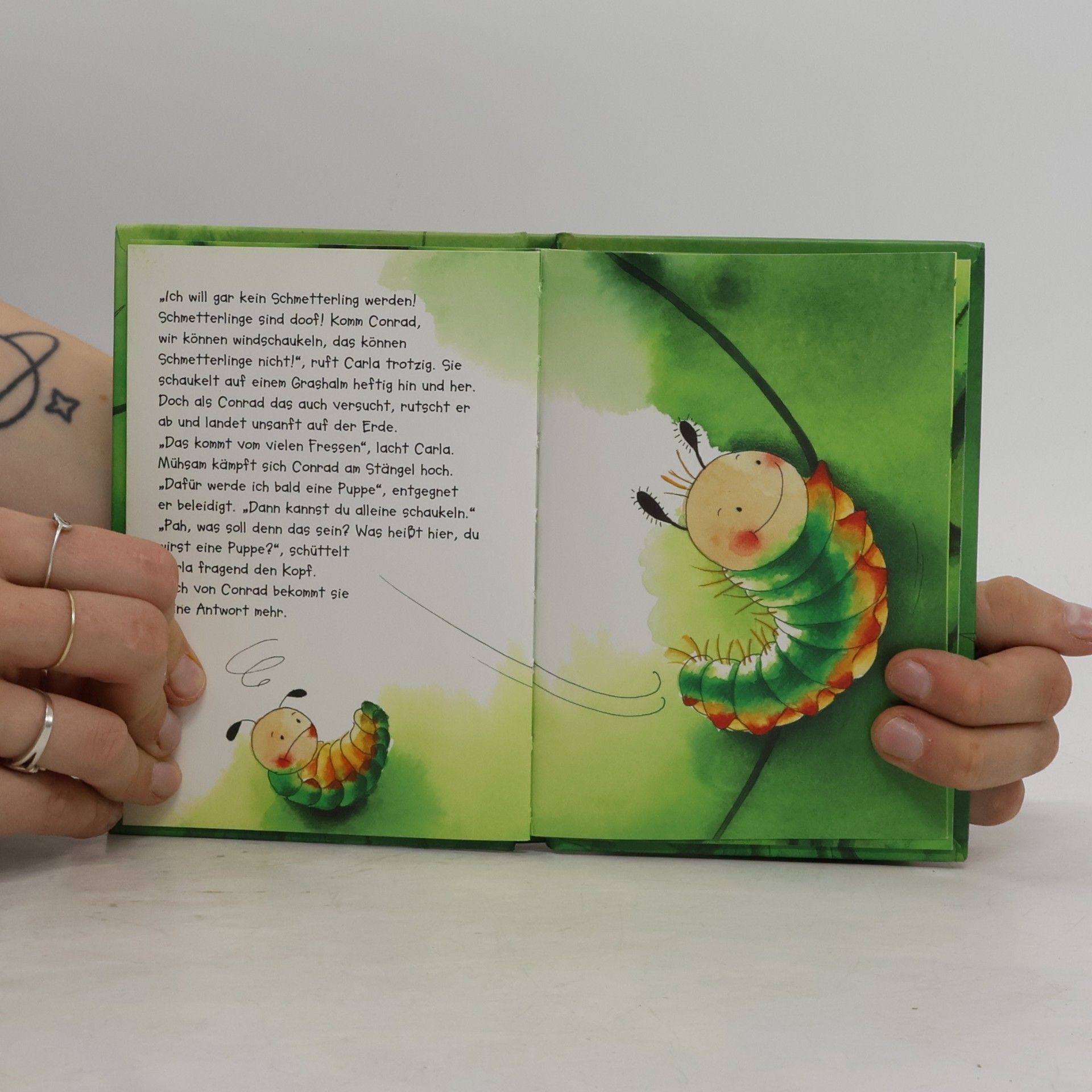 Judith Steinbacher Die kleine Raupe, die kein Schmetterling werden wollte