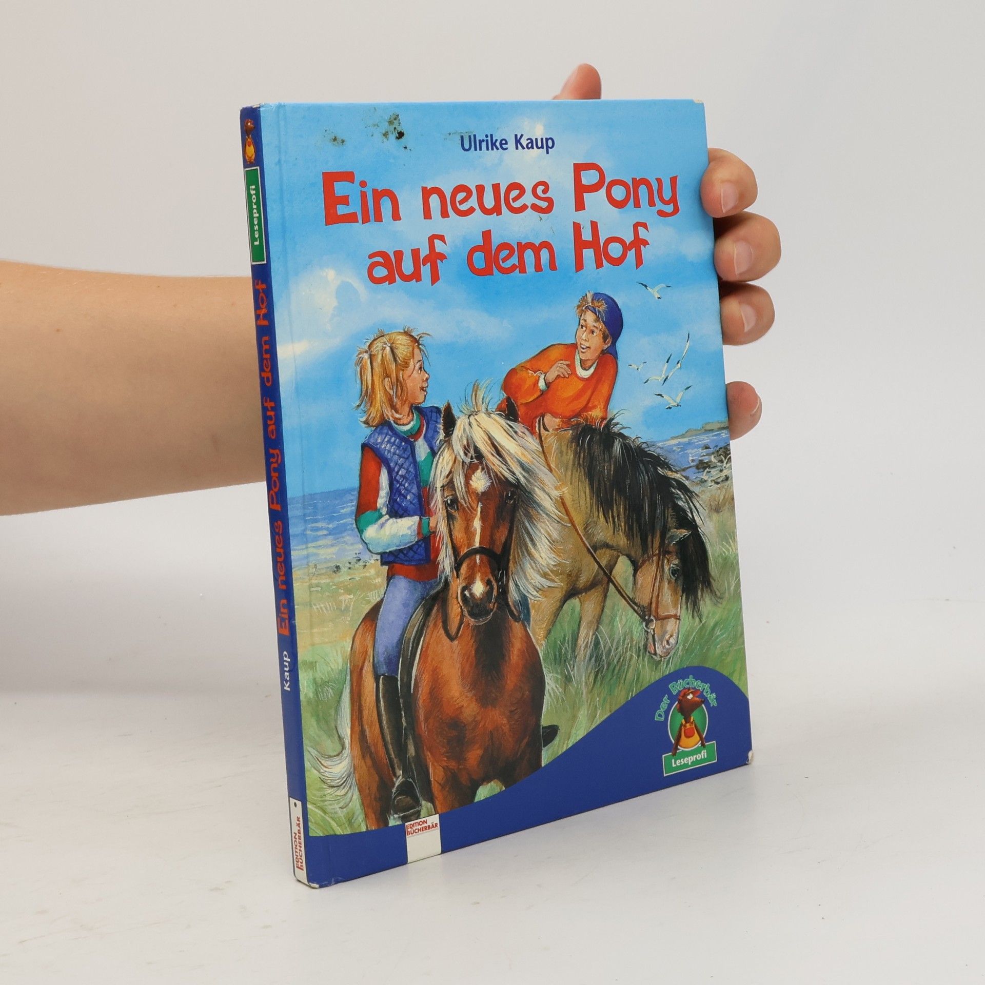 Ulrike Kaup Ein neues Pony auf dem Hof