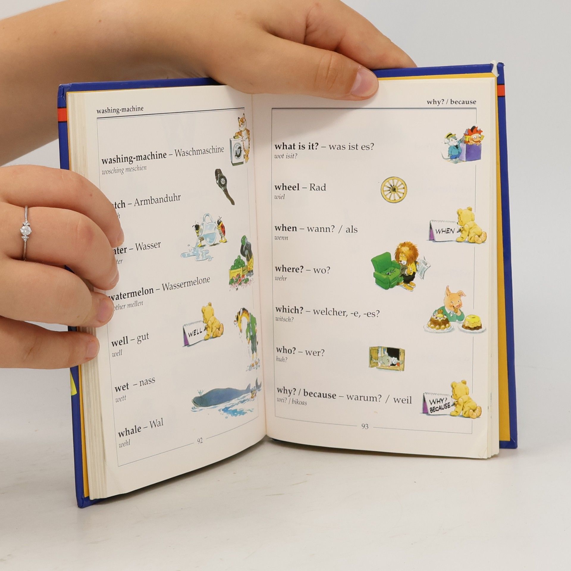 Alessandra Galli Mein erstes Bildwörterbuch Englisch