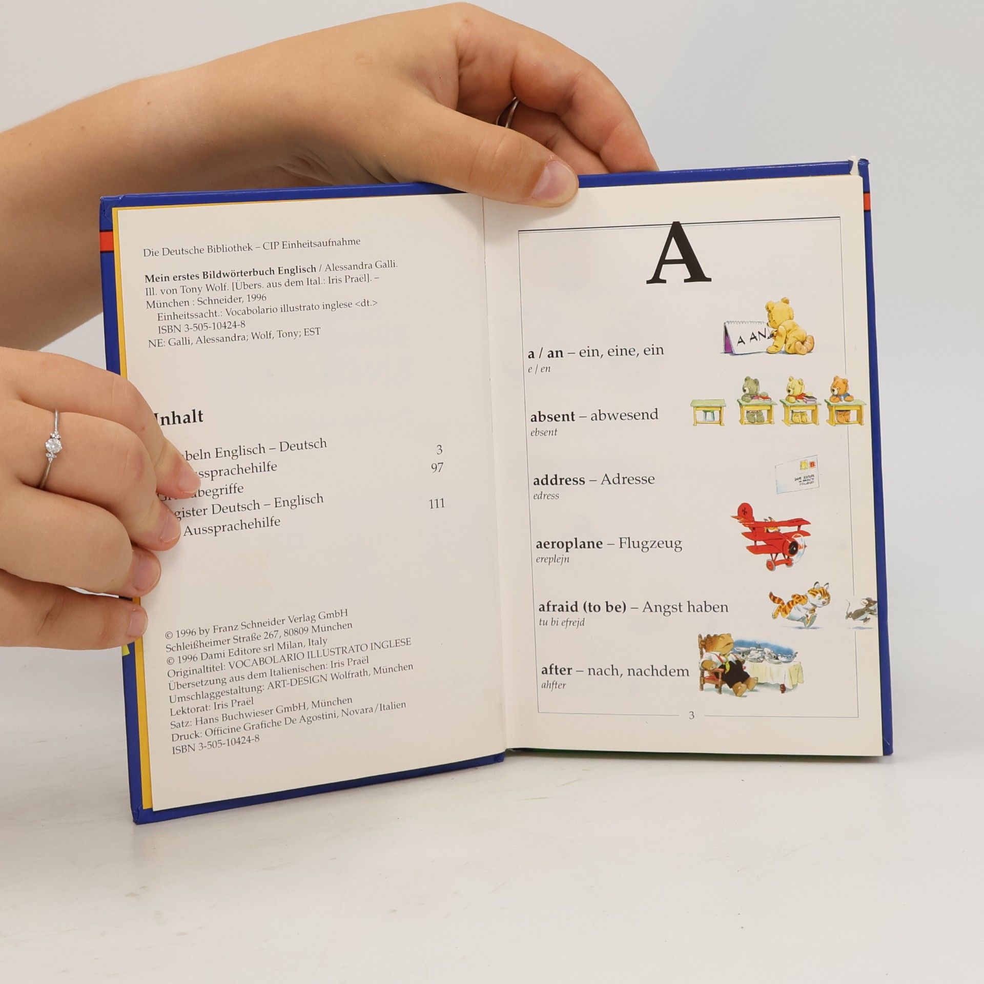 Alessandra Galli Mein erstes Bildwörterbuch Englisch