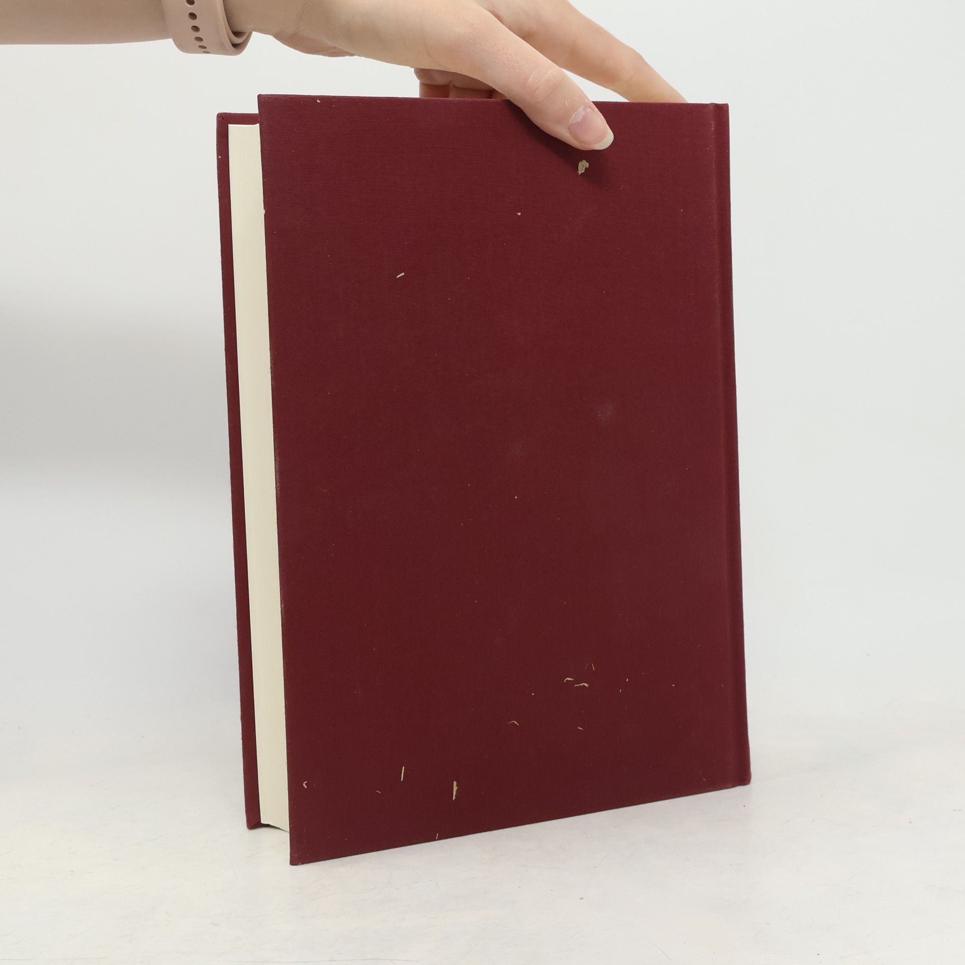Bernd Willmes Thesaurus in vasis fictilibus - "Schatz in zerbrechlichen Gefäßen" (2 Kor 4,7)